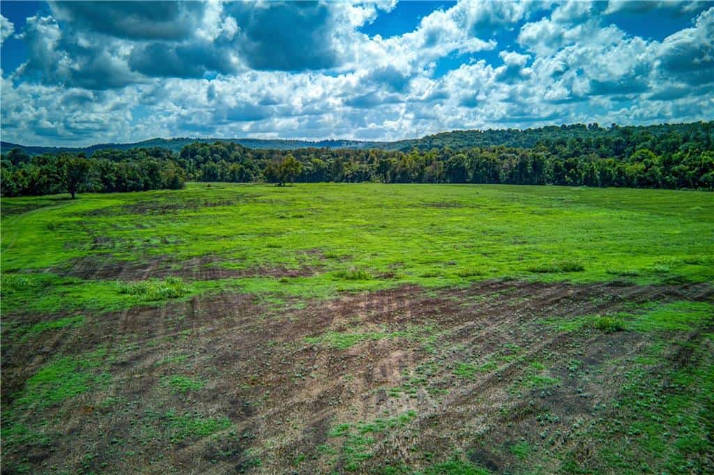 200 unrestriced acres in Yellville, AR