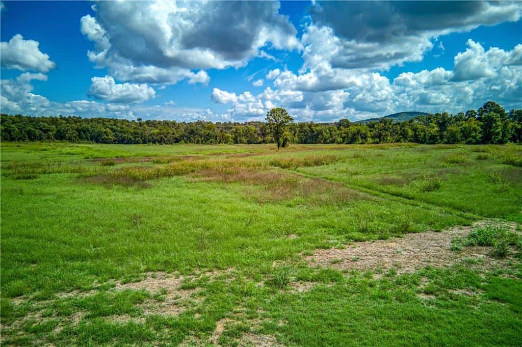 200 unrestriced acres in Yellville, AR