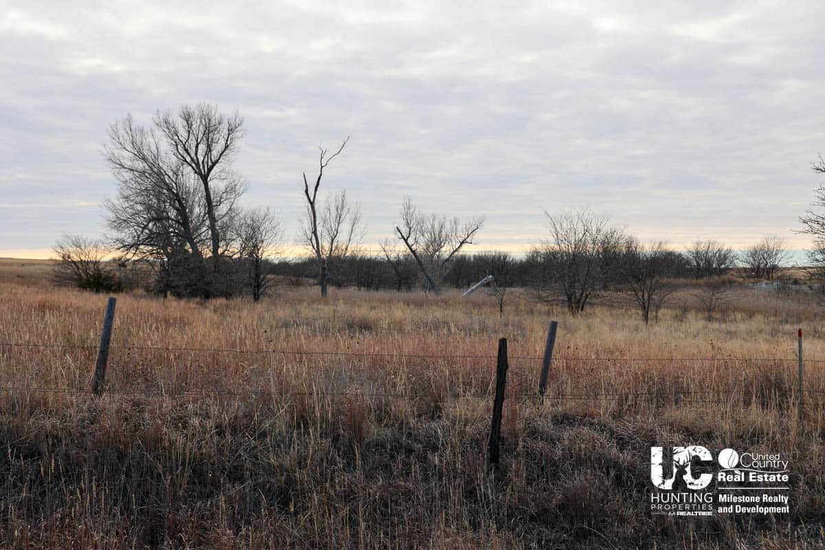 Graham Co. Kansas Premium Deer Hunting Land For Sale