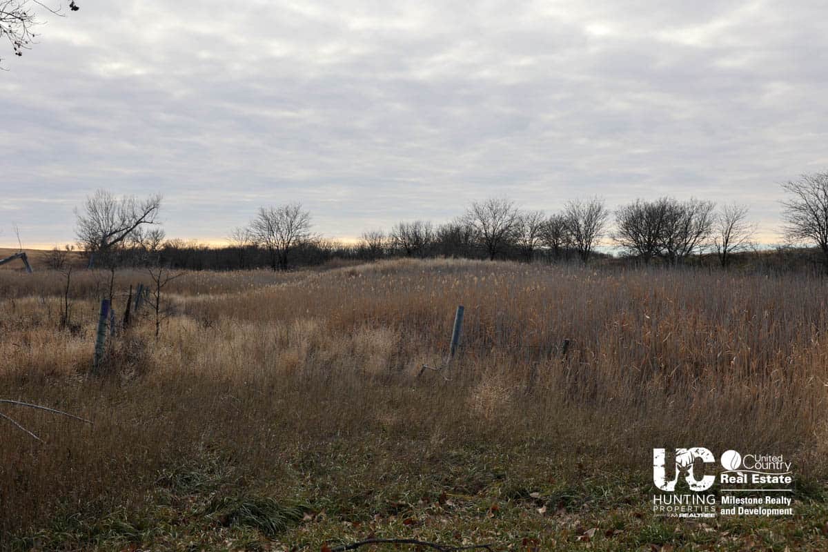 Graham Co. Kansas Premium Deer Hunting Land For Sale