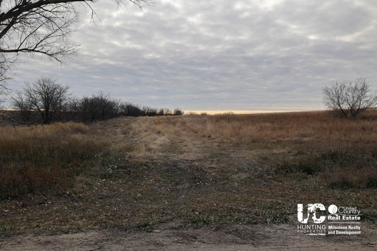 Graham Co. Kansas Premium Deer Hunting Land For Sale