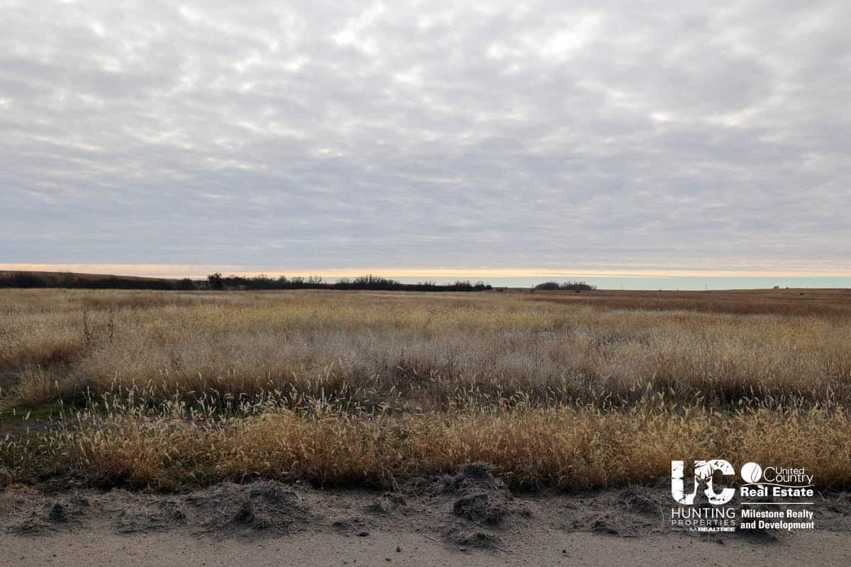 Graham Co. Kansas Premium Deer Hunting Land For Sale