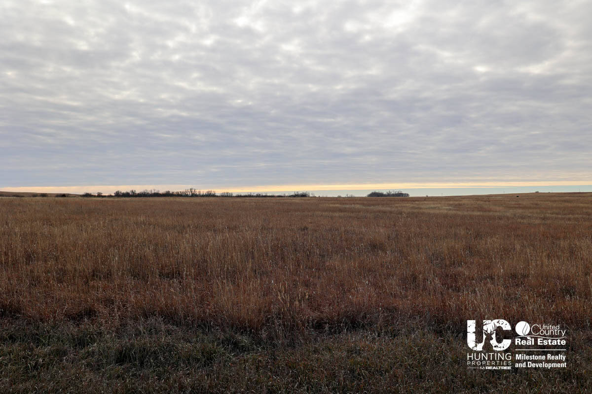 Graham Co. Kansas Premium Deer Hunting Land For Sale
