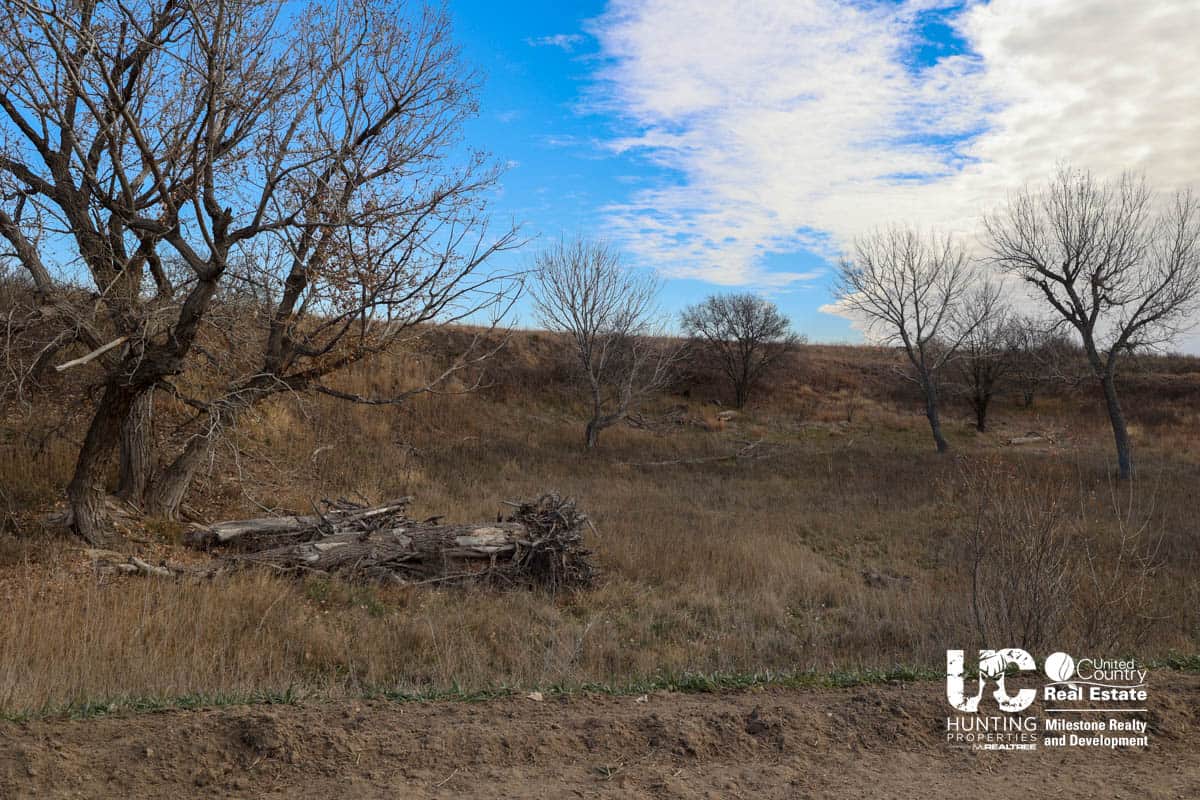 Graham Co. Kansas Premium Deer Hunting Land For Sale