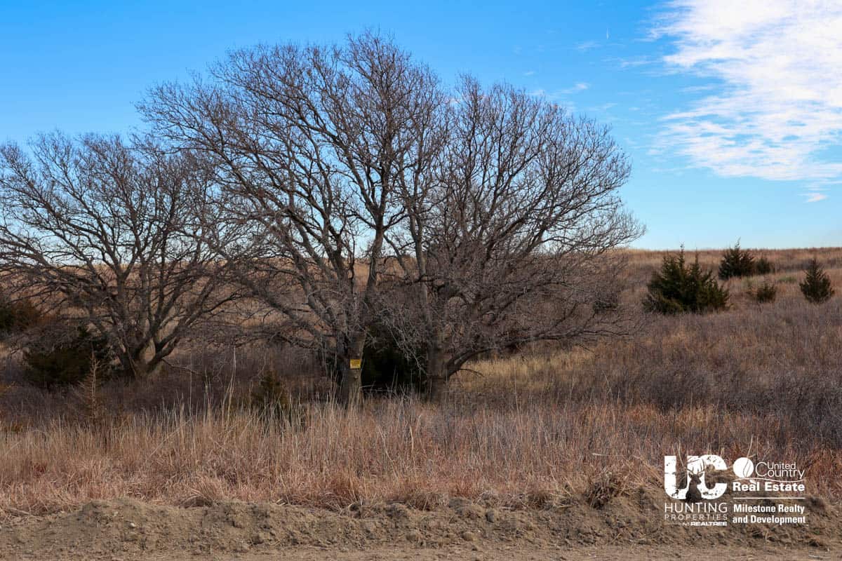 Graham Co. Kansas Premium Deer Hunting Land For Sale