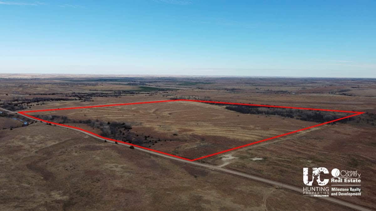 Graham Co. Kansas Premium Deer Hunting Land For Sale