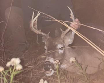 Hunting Property in Winn Parish LA For Sale