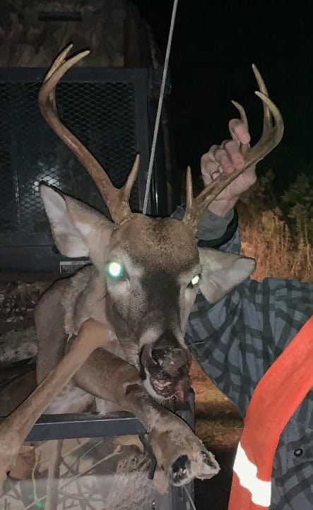 Hunting Property in Winn Parish LA For Sale