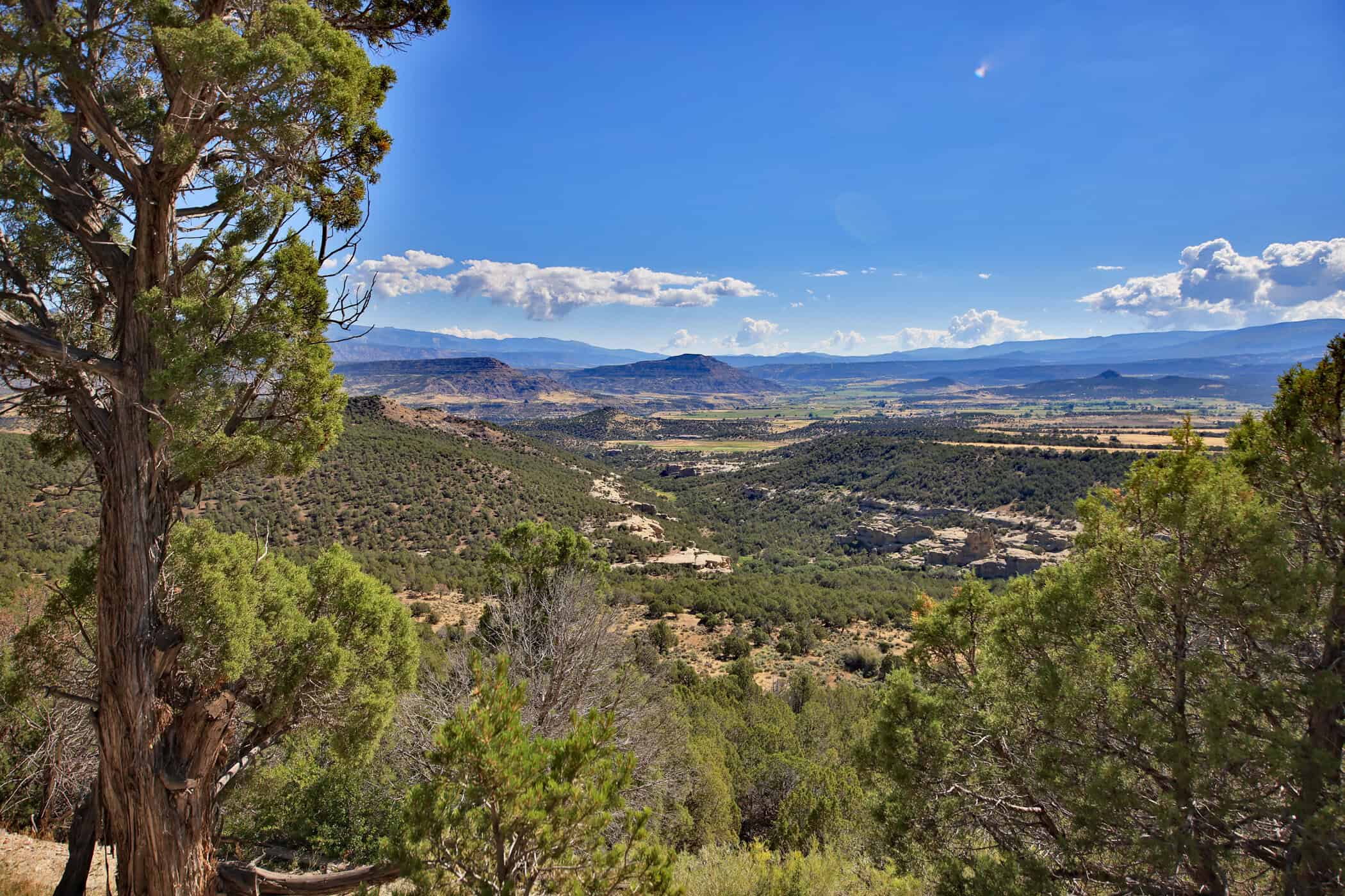 Mountain Home with Cabin on Acreage and Borders BLM For Sale in Colorado
