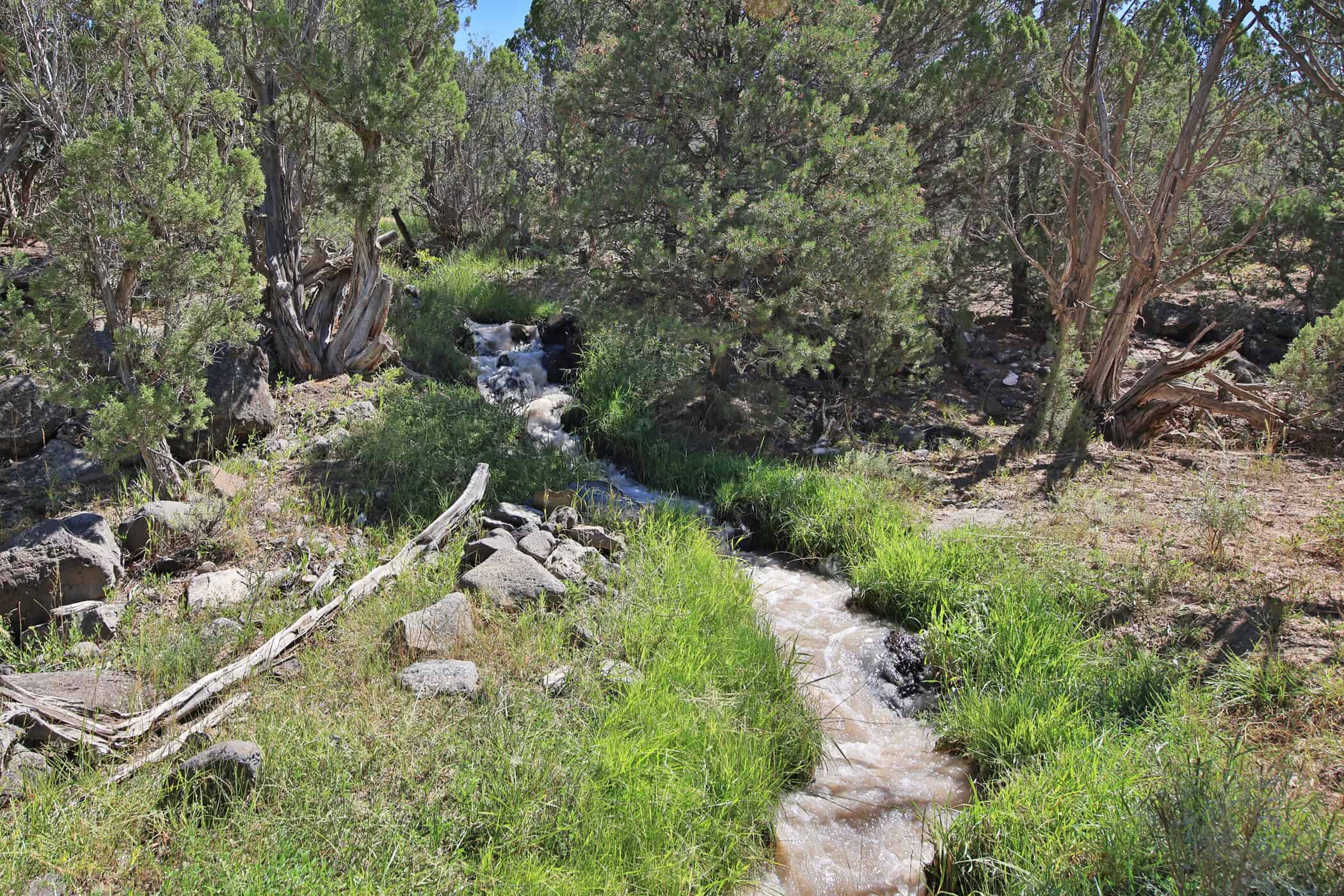 Mountain Home with Cabin on Acreage and Borders BLM For Sale in Colorado