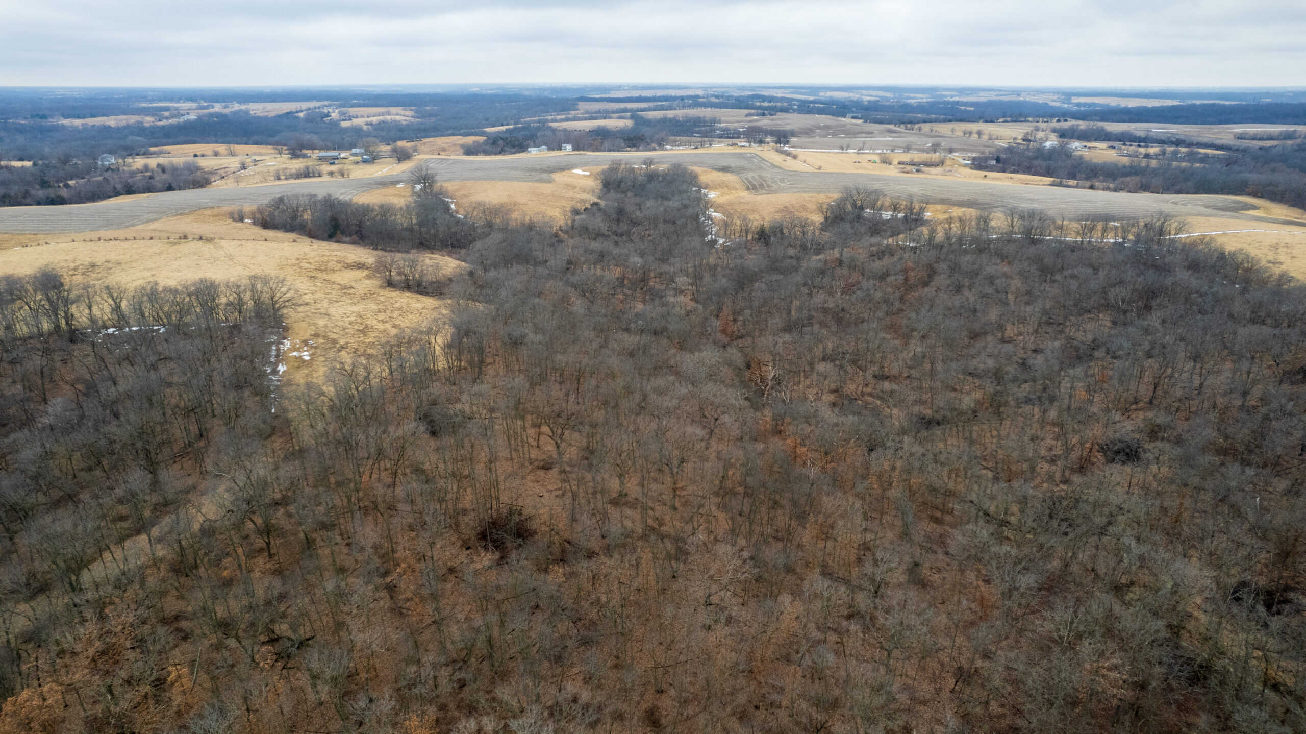 86 Acres | Hunting, Income Potential, Pond & Building Site | Wapello County, IA