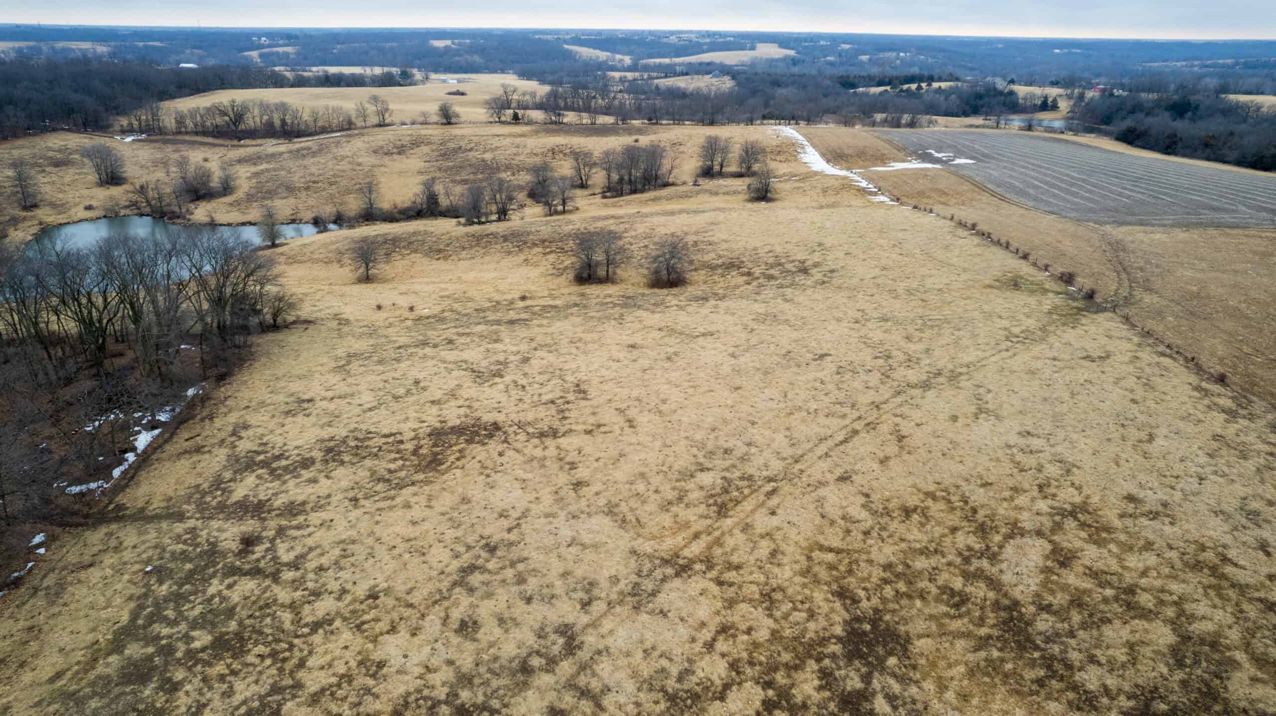 86 Acres | Hunting, Income Potential, Pond & Building Site | Wapello County, IA