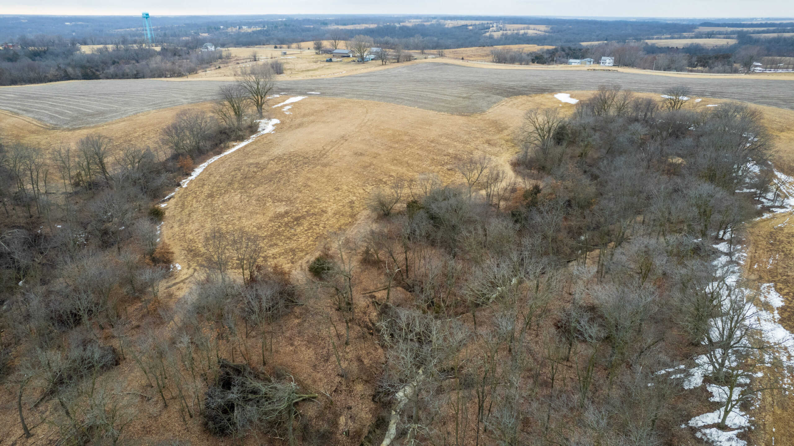 86 Acres | Hunting, Income Potential, Pond & Building Site | Wapello County, IA