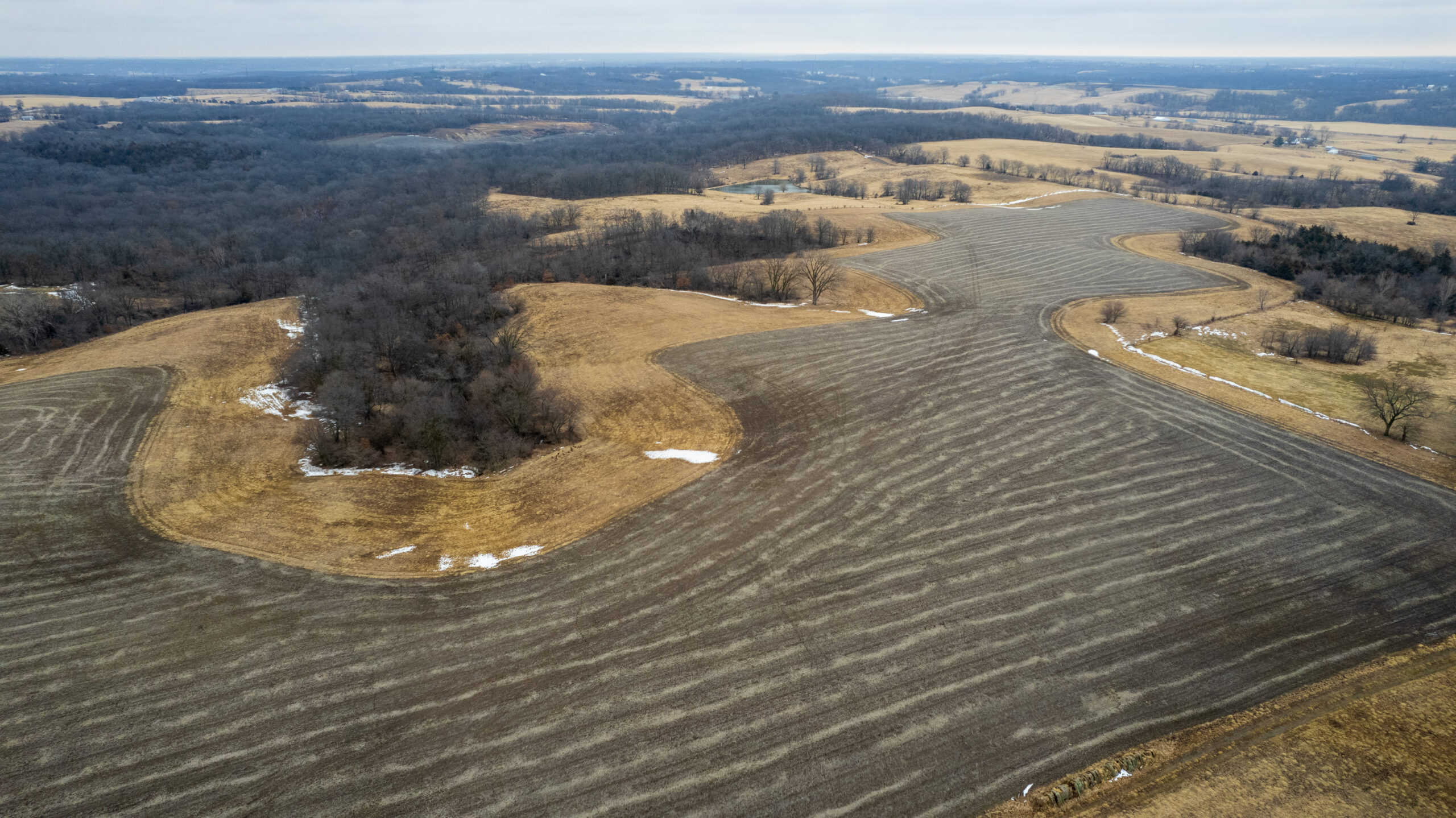 86 Acres | Hunting, Income Potential, Pond & Building Site | Wapello County, IA