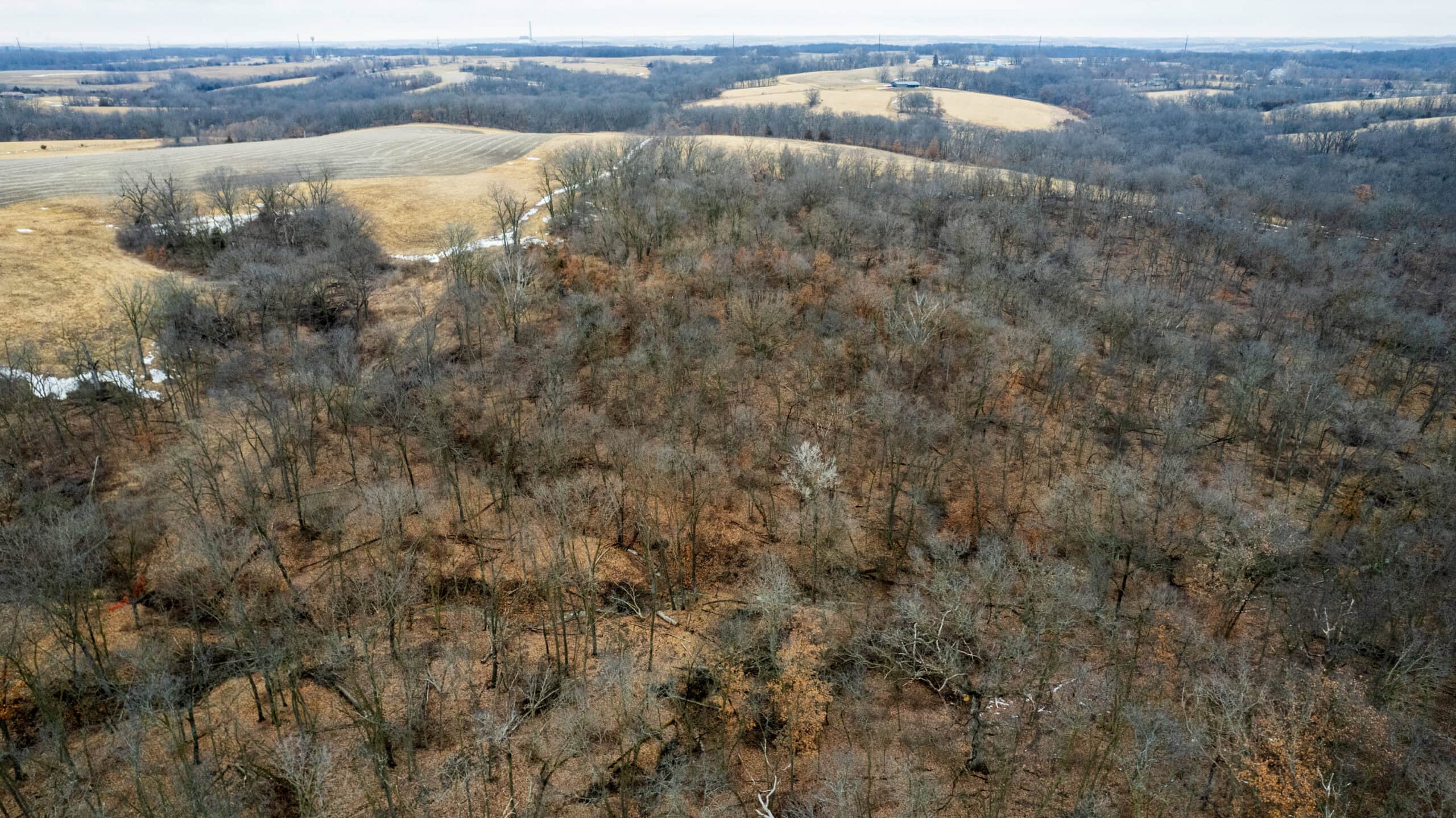 151 Acres | Hunting & Income-Producing Farm | Wapello County, IA
