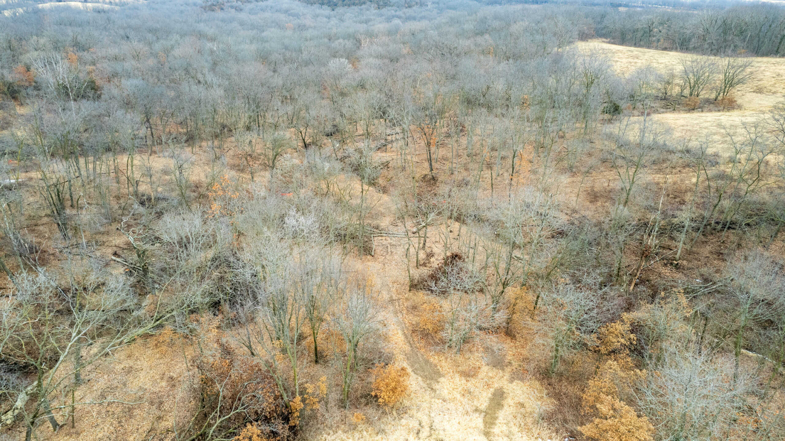 86 Acres | Hunting, Income Potential, Pond & Building Site | Wapello County, IA