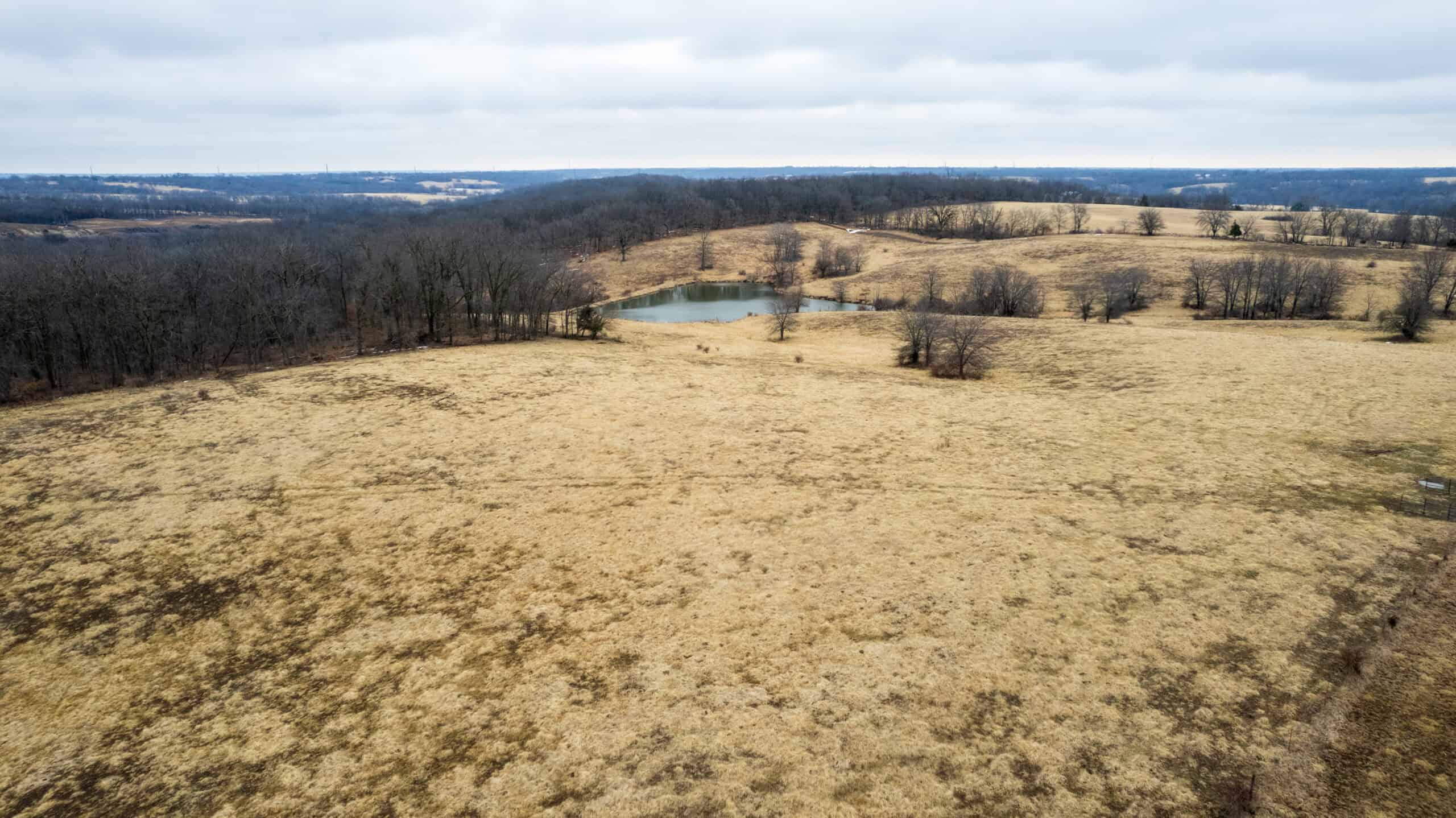 86 Acres | Hunting, Income Potential, Pond & Building Site | Wapello County, IA