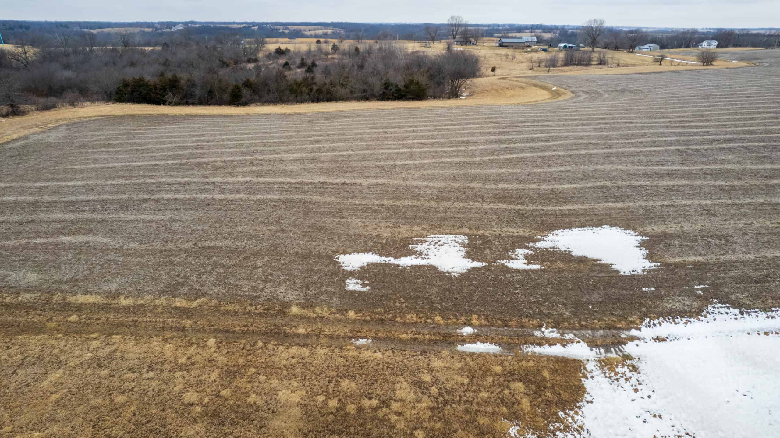 86 Acres | Hunting, Income Potential, Pond & Building Site | Wapello County, IA