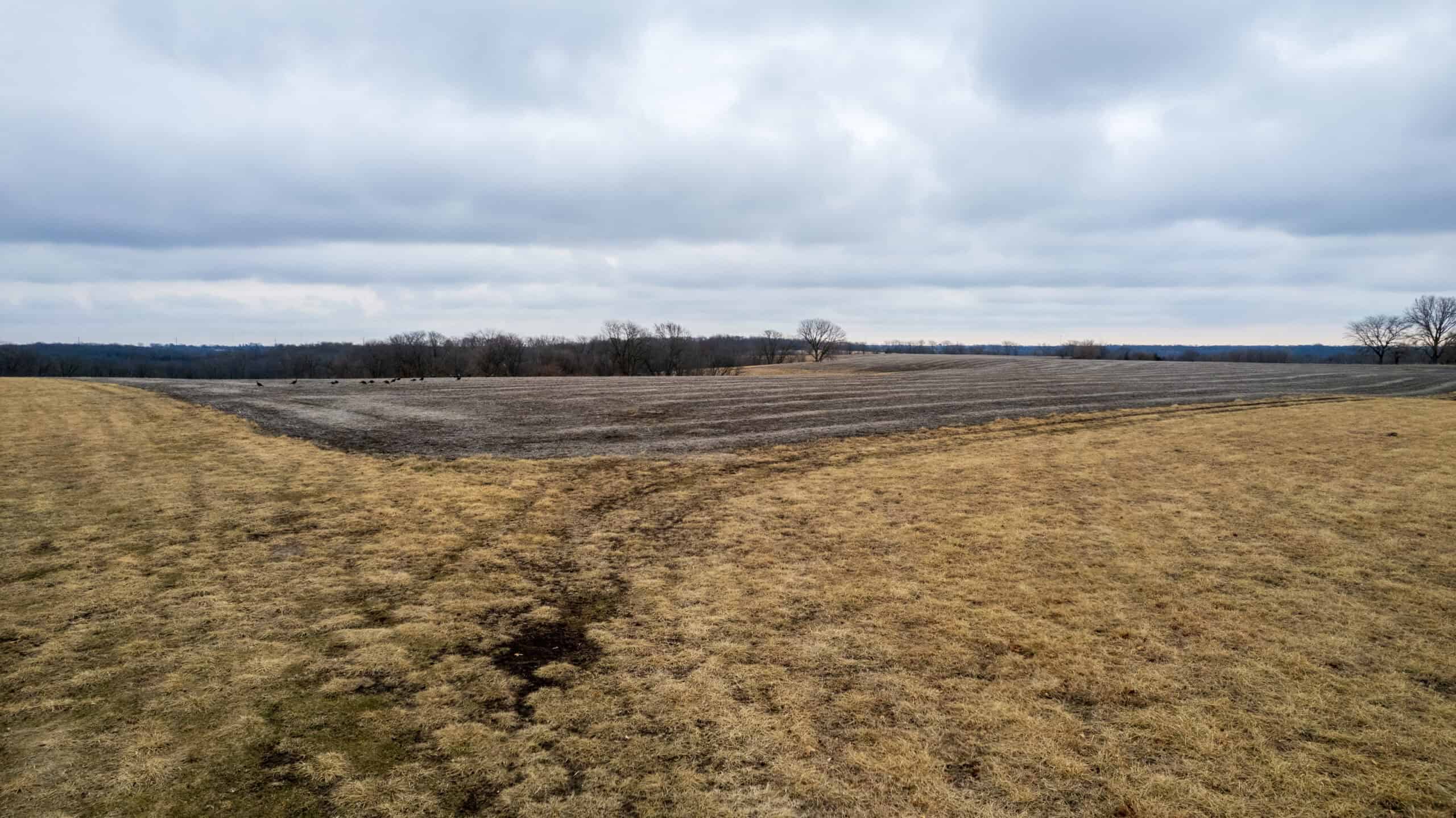 86 Acres | Hunting, Income Potential, Pond & Building Site | Wapello County, IA