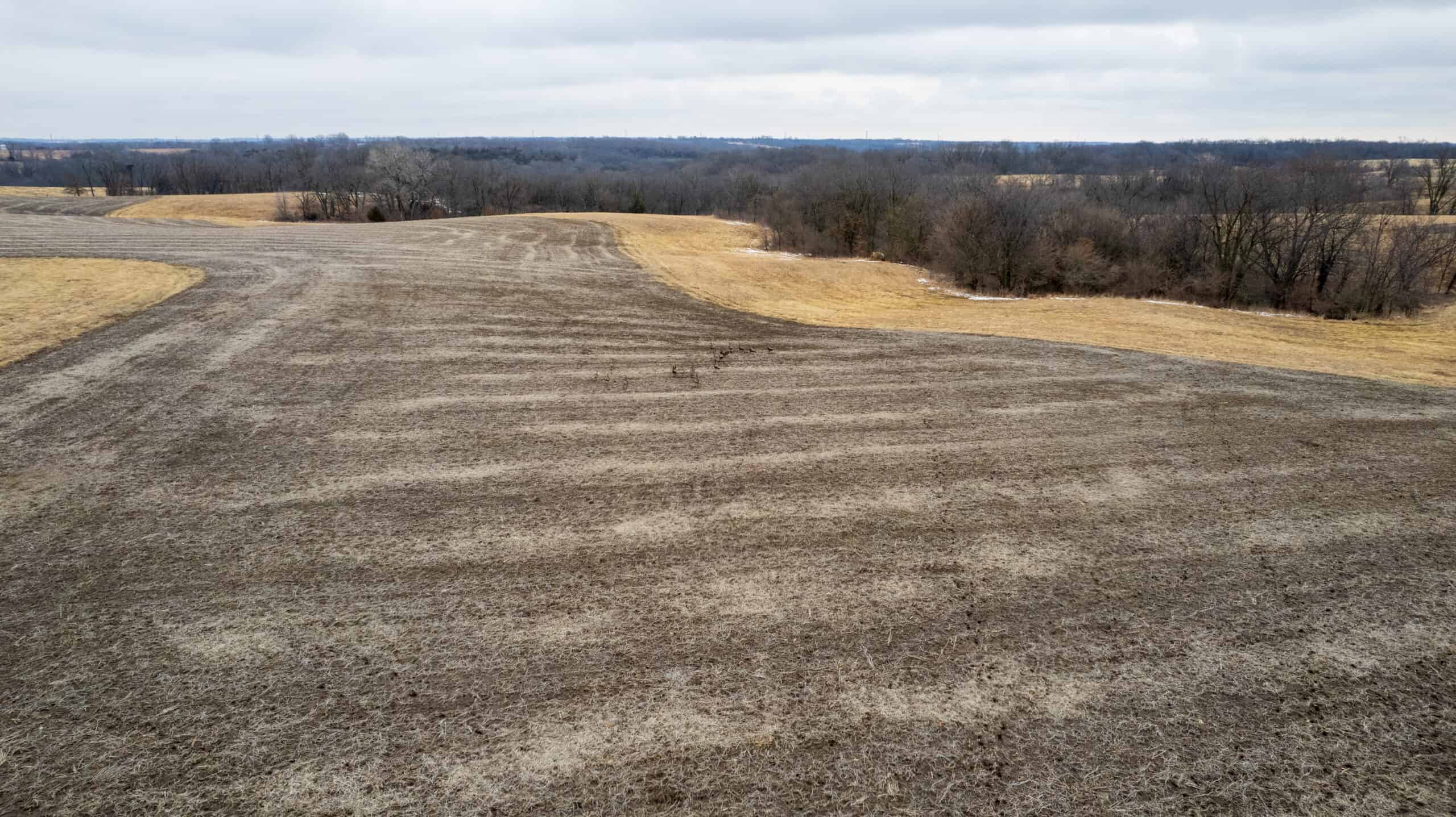 86 Acres | Hunting, Income Potential, Pond & Building Site | Wapello County, IA