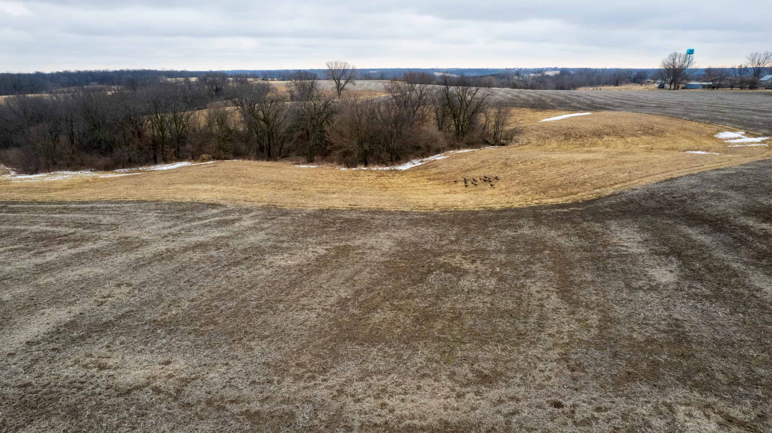 86 Acres | Hunting, Income Potential, Pond & Building Site | Wapello County, IA