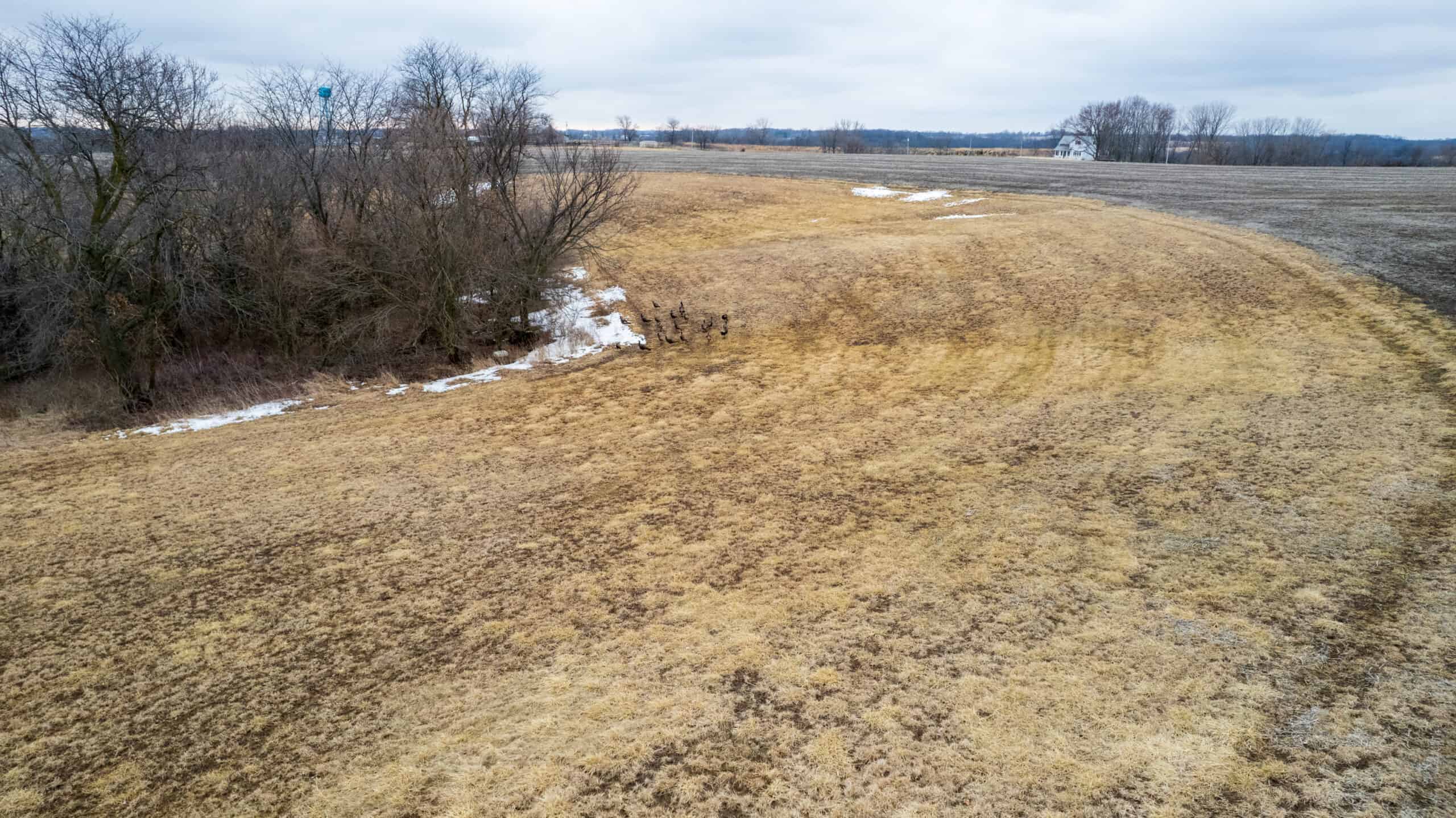 86 Acres | Hunting, Income Potential, Pond & Building Site | Wapello County, IA