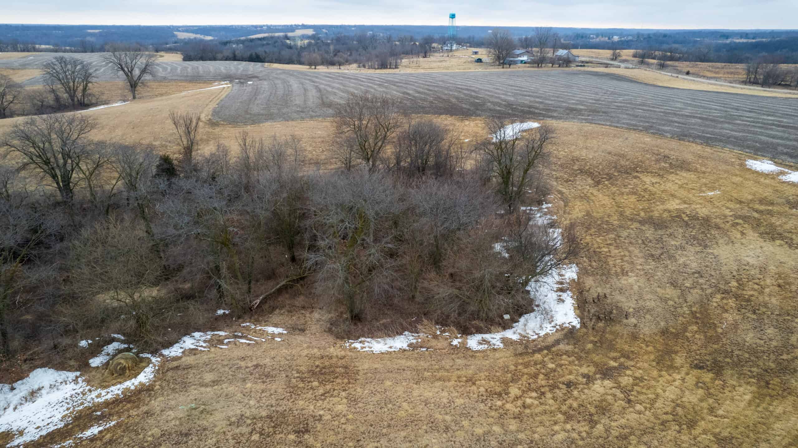 86 Acres | Hunting, Income Potential, Pond & Building Site | Wapello County, IA