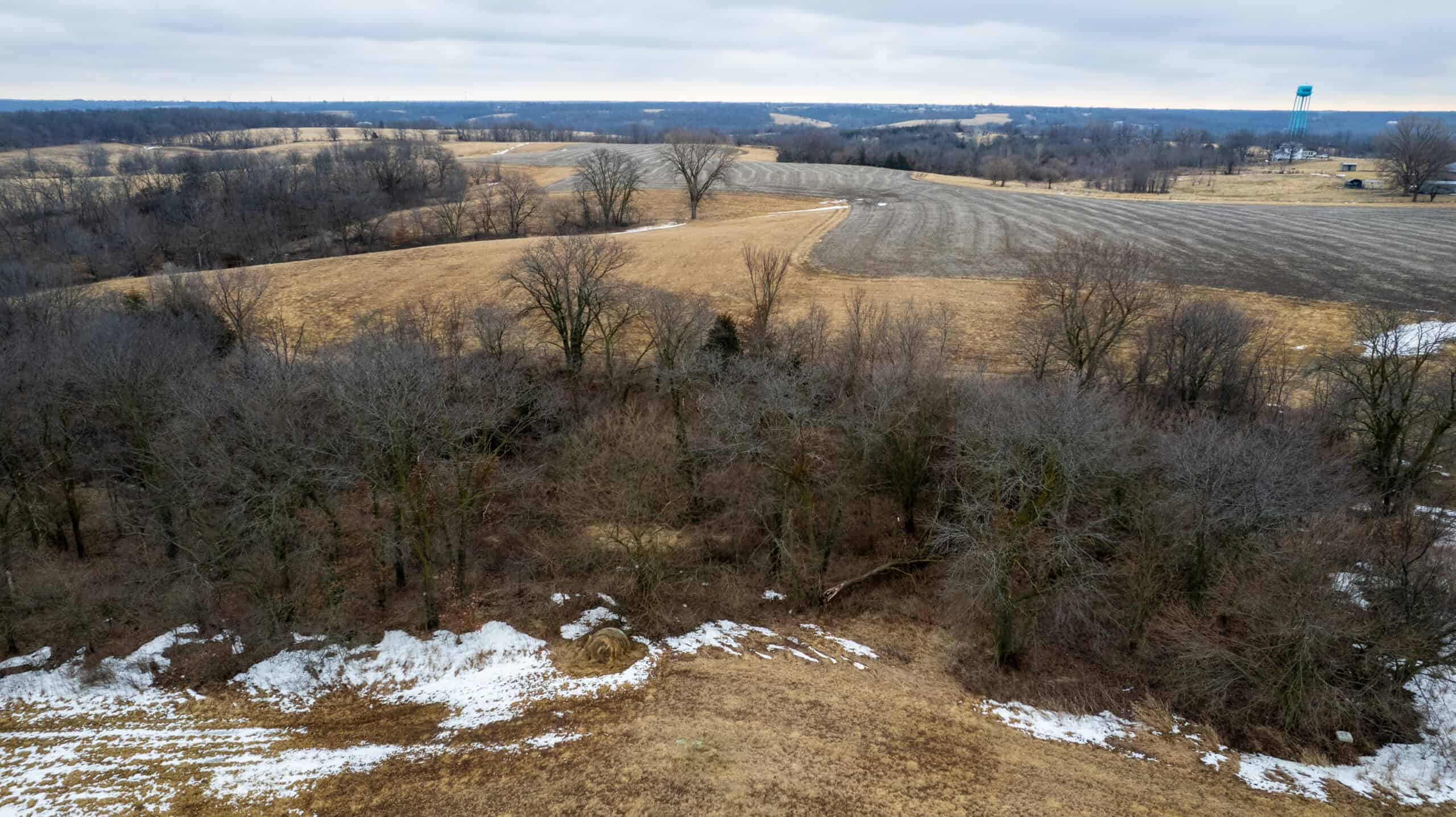 86 Acres | Hunting, Income Potential, Pond & Building Site | Wapello County, IA