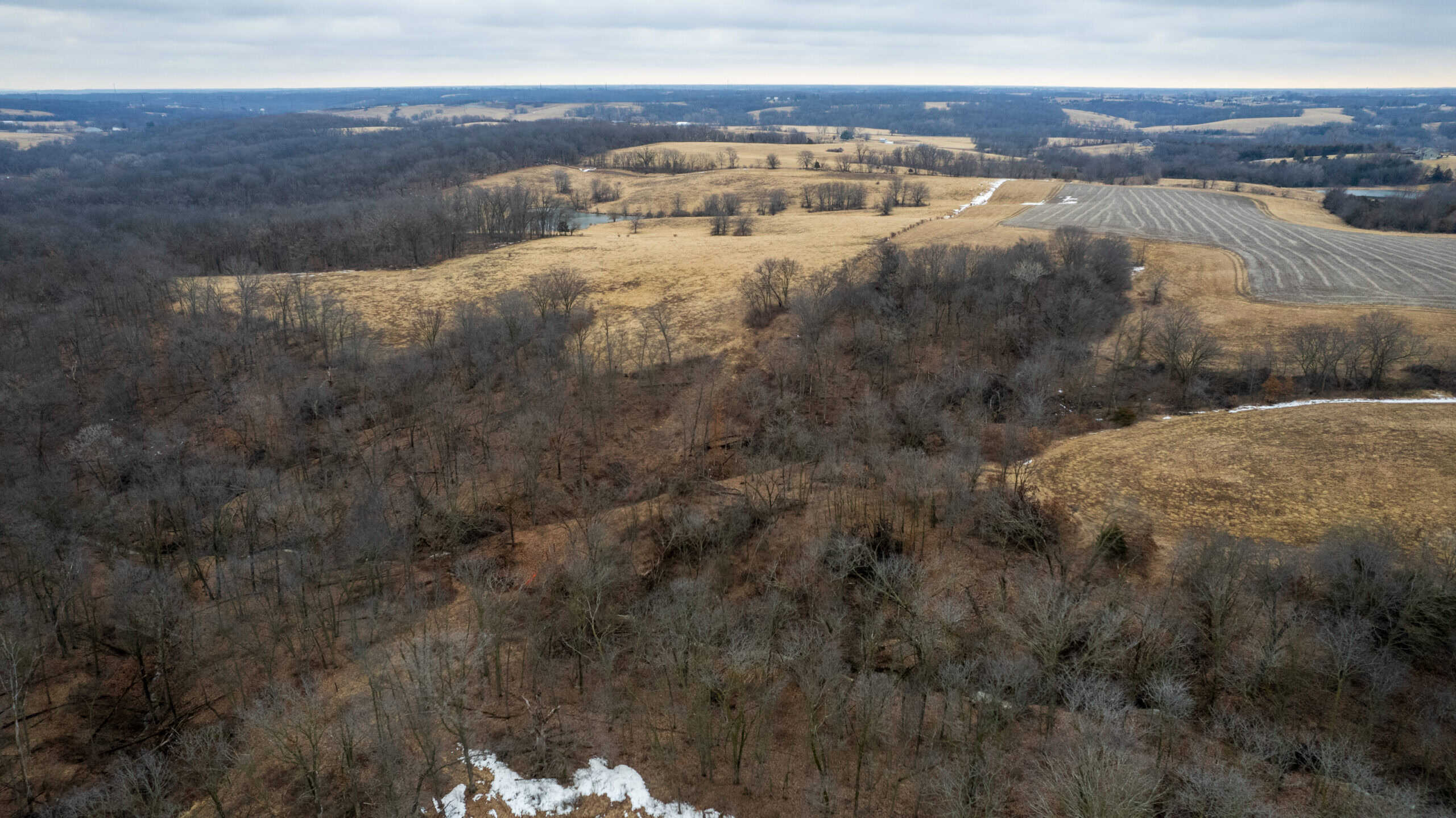 86 Acres | Hunting, Income Potential, Pond & Building Site | Wapello County, IA