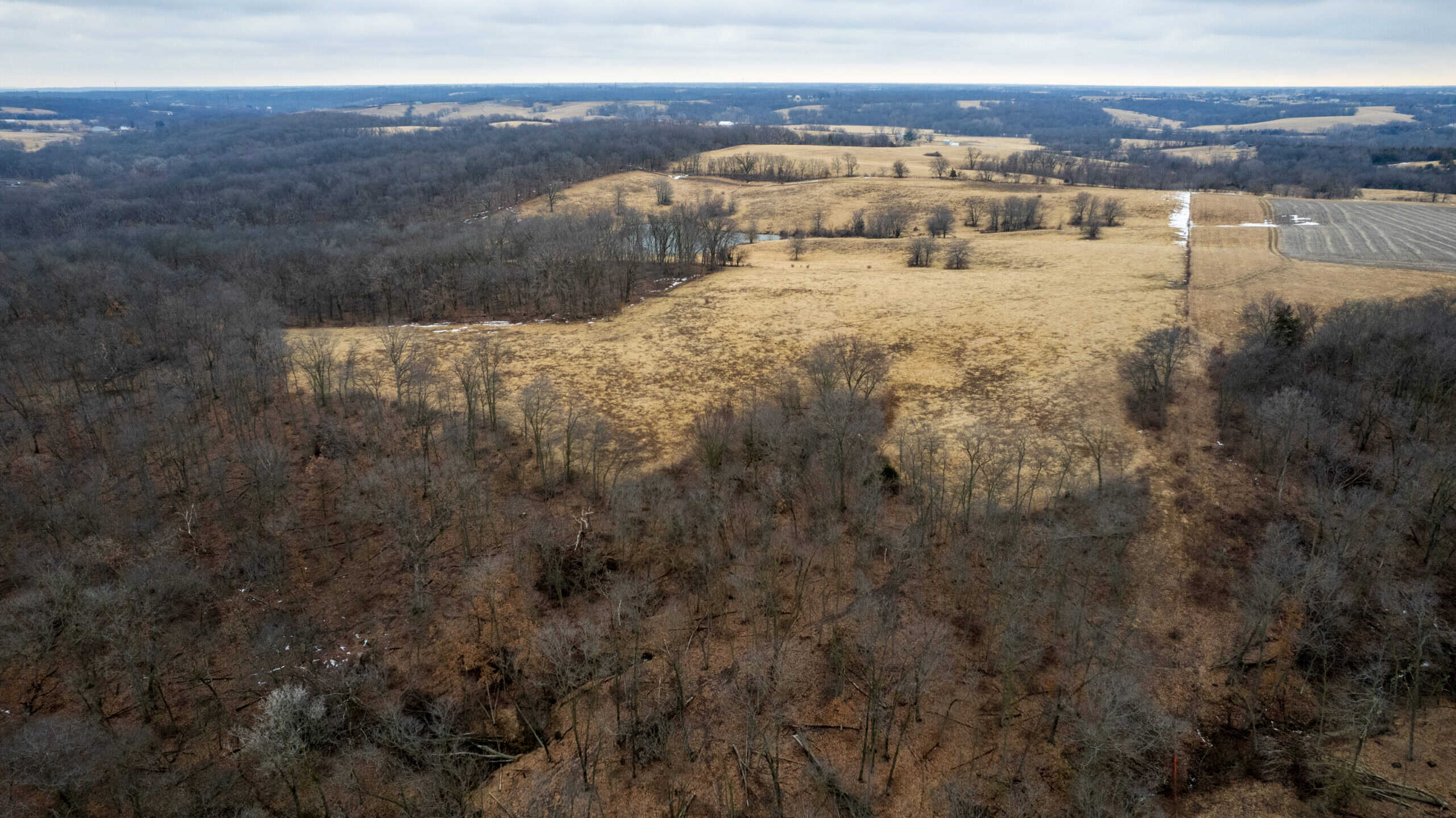 151 Acres | Hunting & Income-Producing Farm | Wapello County, IA