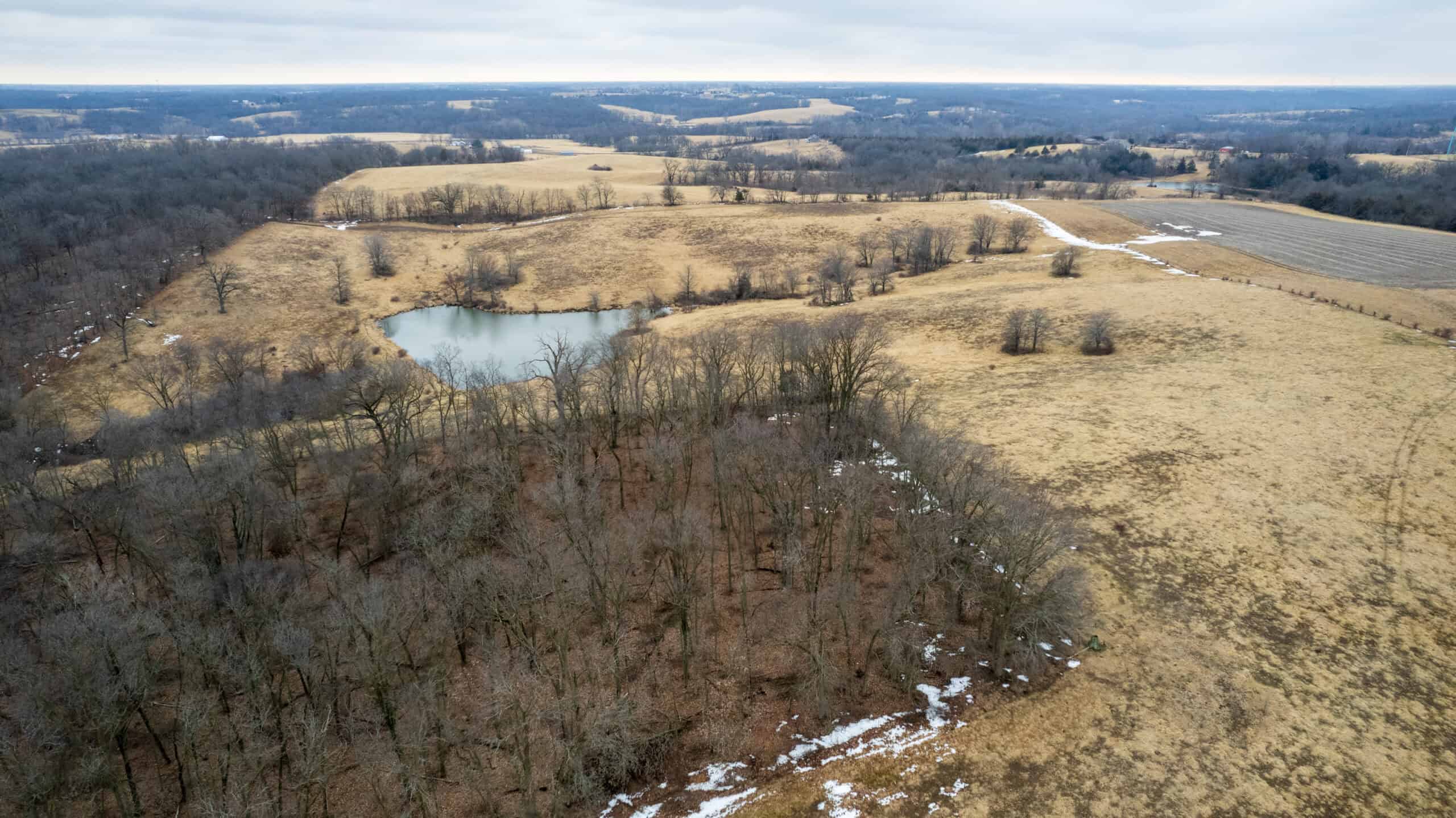 86 Acres | Hunting, Income Potential, Pond & Building Site | Wapello County, IA
