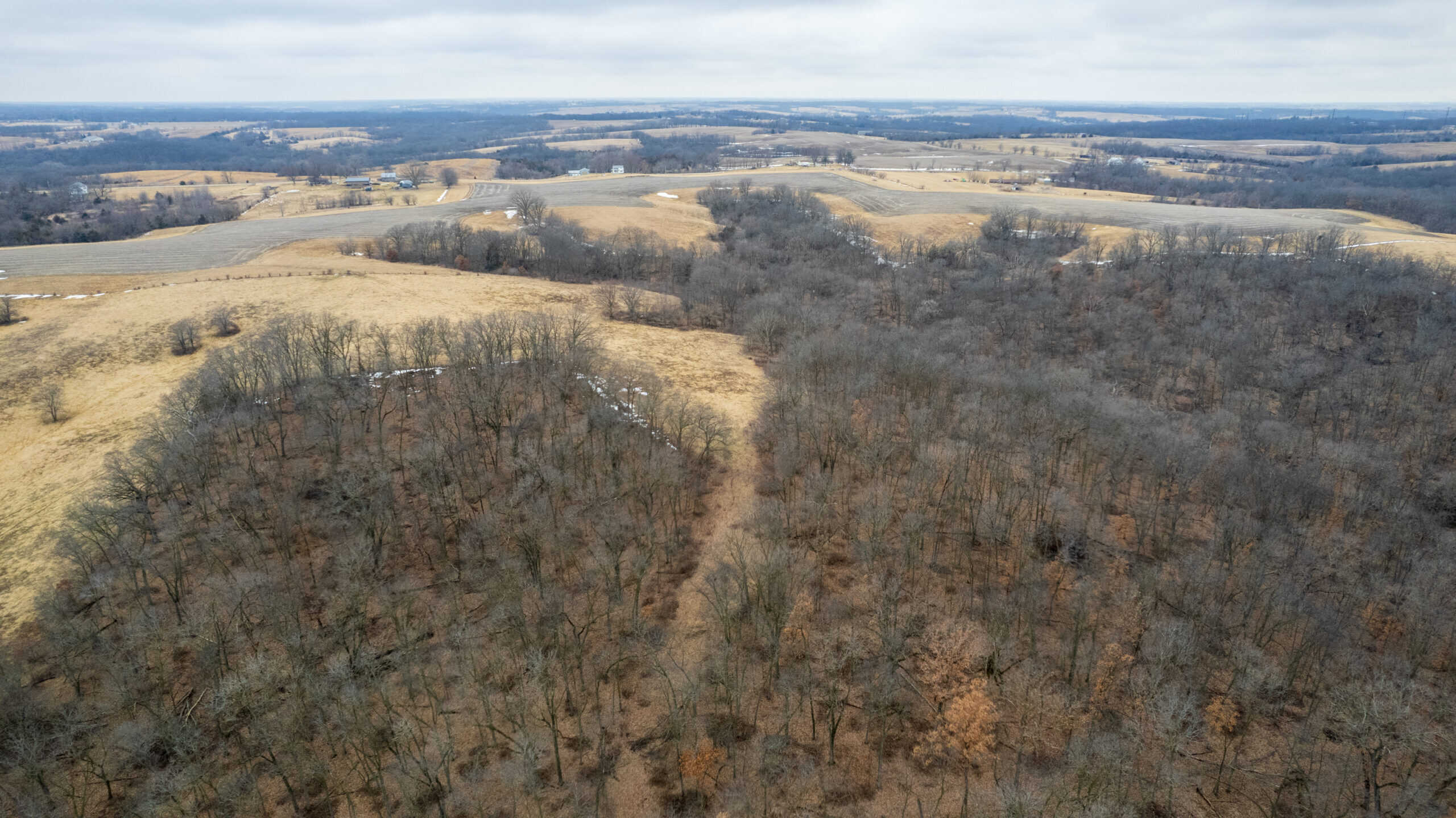 86 Acres | Hunting, Income Potential, Pond & Building Site | Wapello County, IA