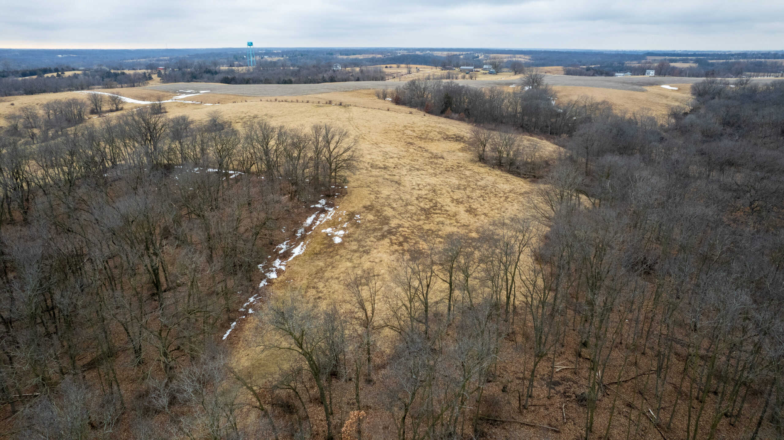 86 Acres | Hunting, Income Potential, Pond & Building Site | Wapello County, IA
