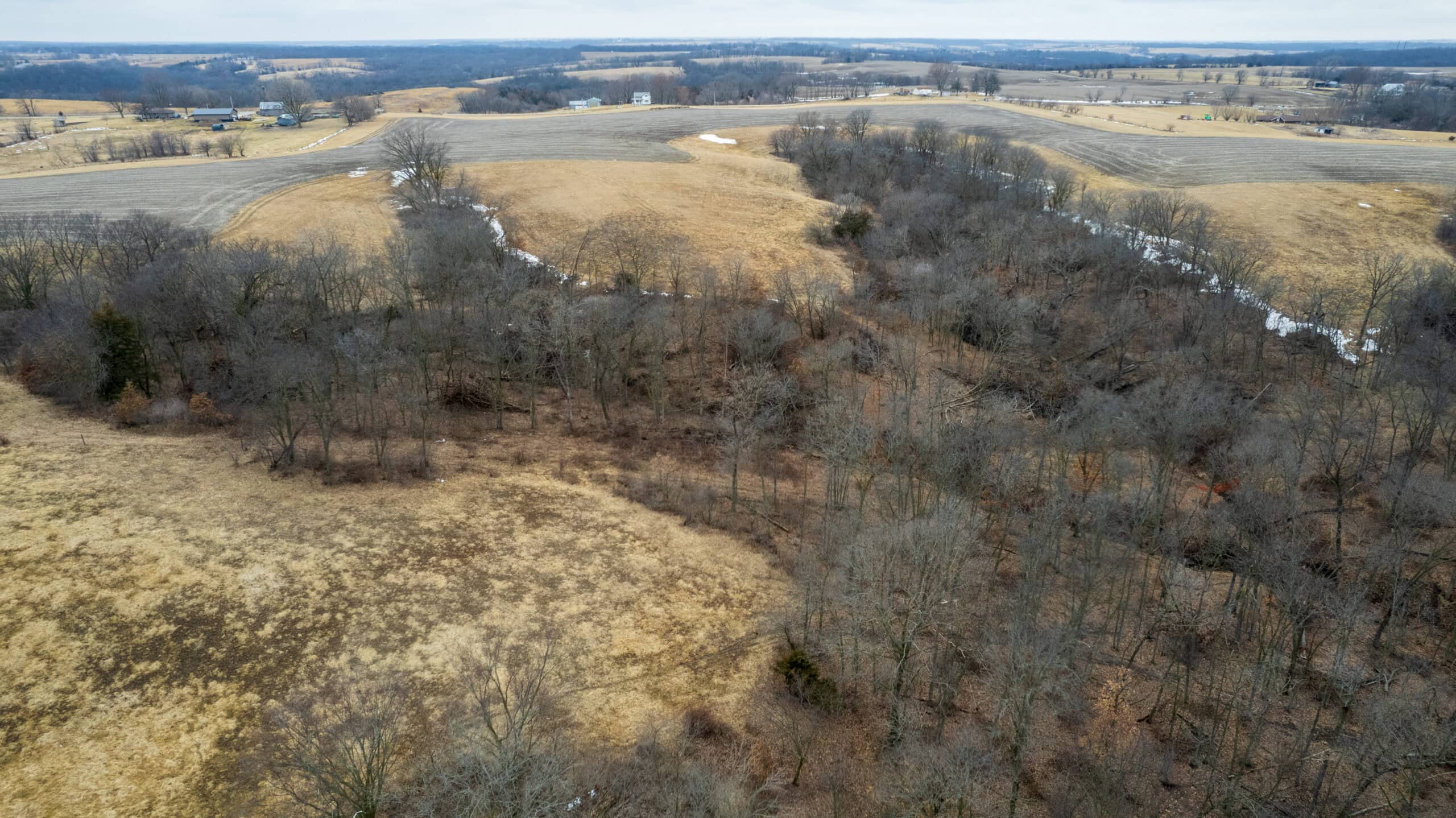 86 Acres | Hunting, Income Potential, Pond & Building Site | Wapello County, IA