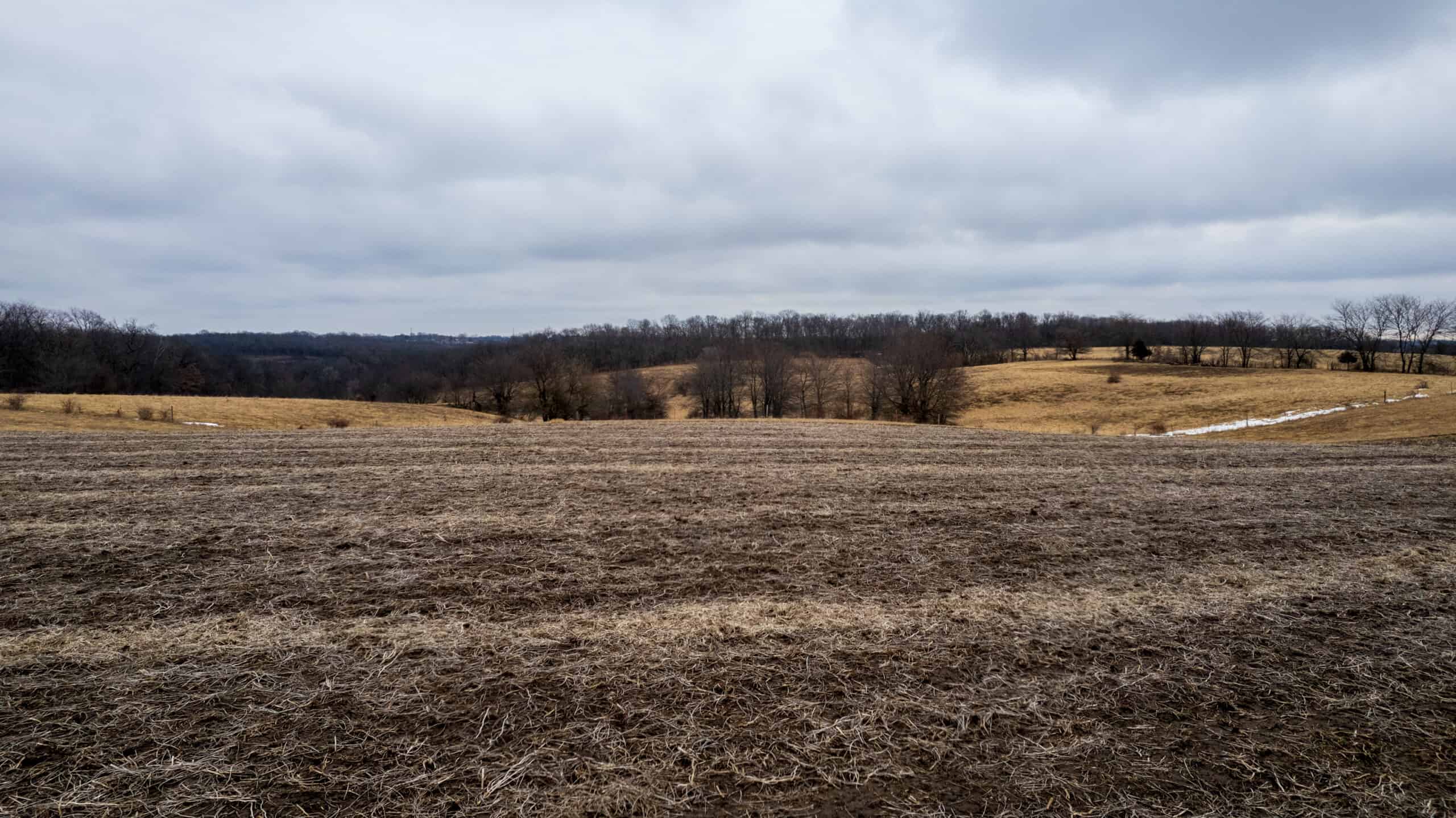 86 Acres | Hunting, Income Potential, Pond & Building Site | Wapello County, IA
