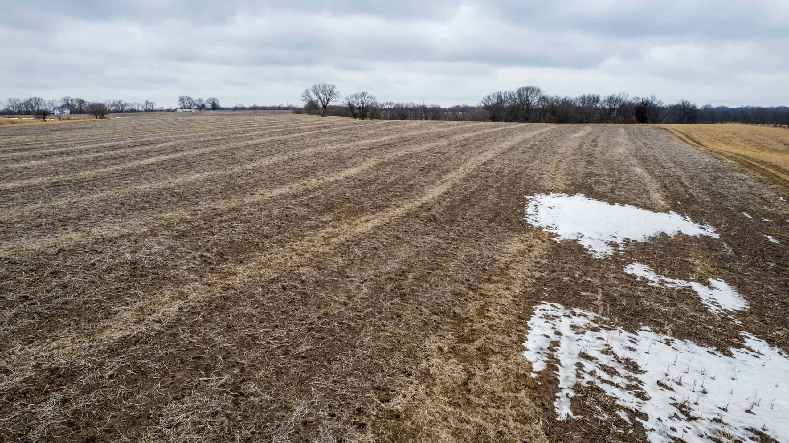 86 Acres | Hunting, Income Potential, Pond & Building Site | Wapello County, IA