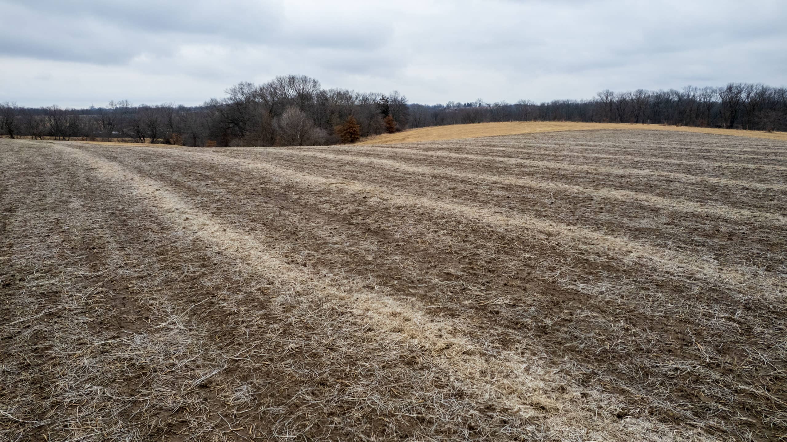 86 Acres | Hunting, Income Potential, Pond & Building Site | Wapello County, IA