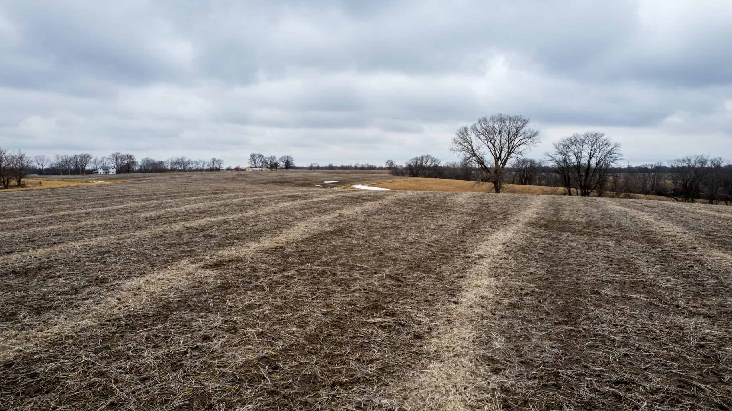 86 Acres | Hunting, Income Potential, Pond & Building Site | Wapello County, IA