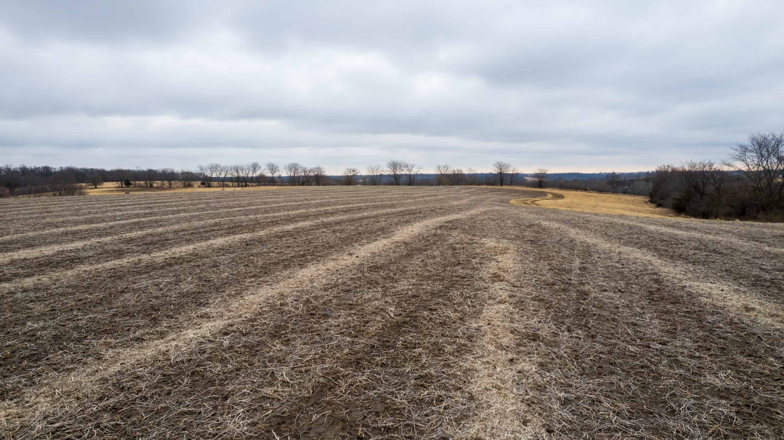 86 Acres | Hunting, Income Potential, Pond & Building Site | Wapello County, IA