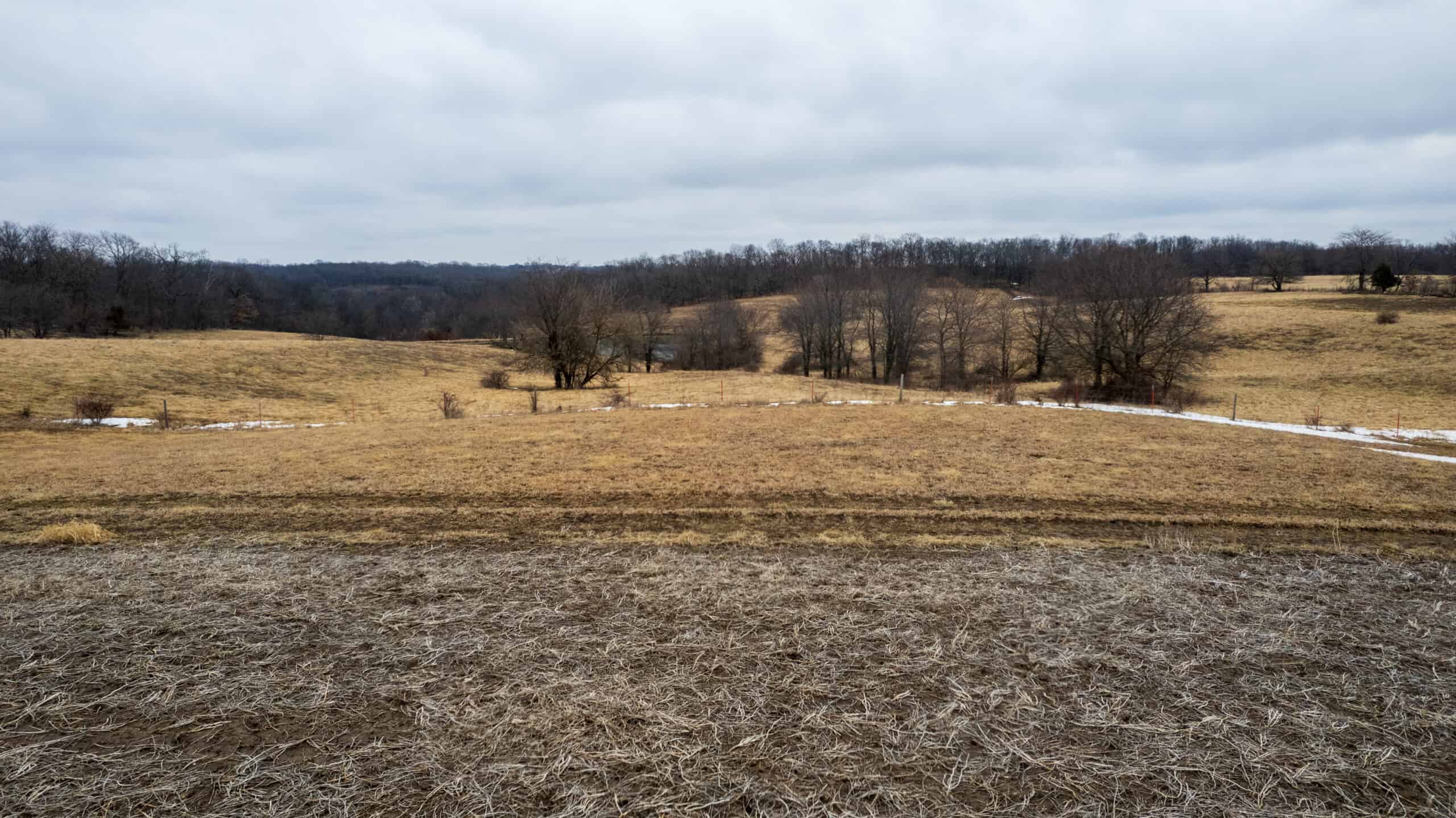 151 Acres | Hunting & Income-Producing Farm | Wapello County, IA
