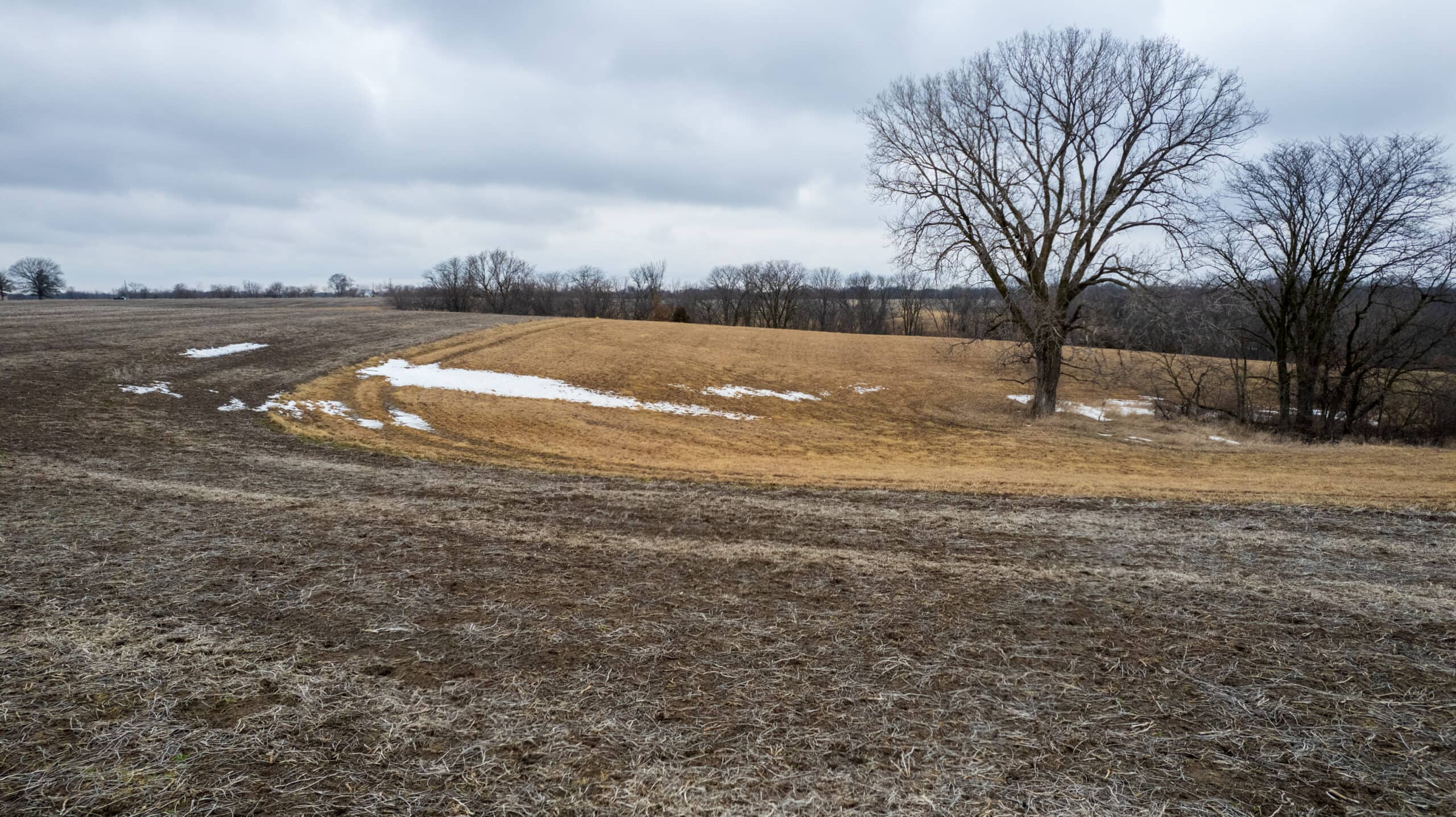 86 Acres | Hunting, Income Potential, Pond & Building Site | Wapello County, IA