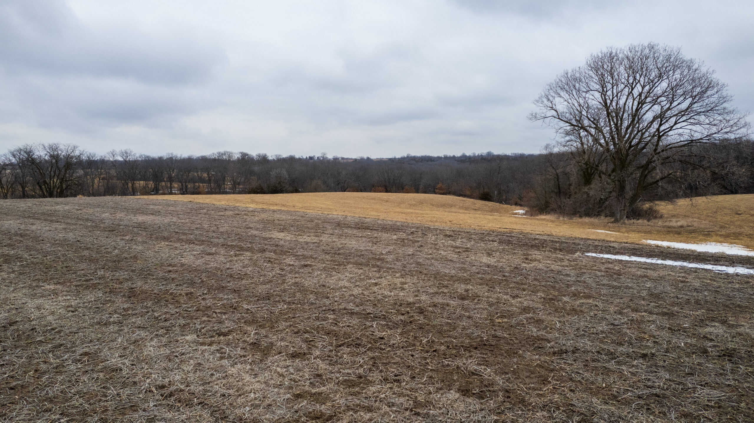 86 Acres | Hunting, Income Potential, Pond & Building Site | Wapello County, IA