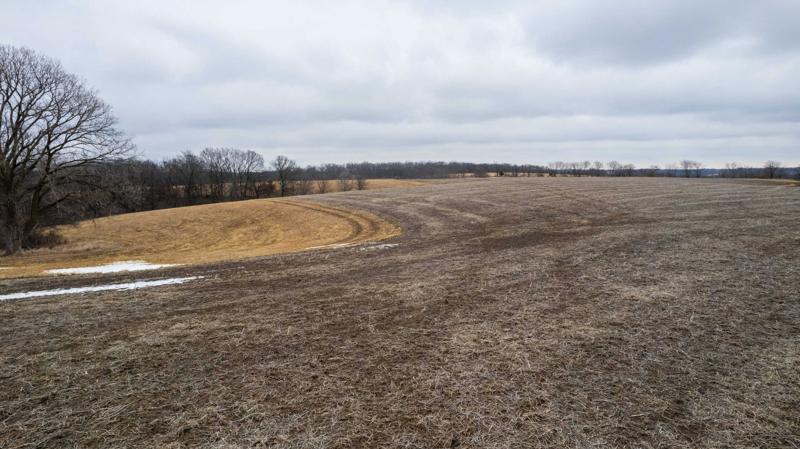 86 Acres | Hunting, Income Potential, Pond & Building Site | Wapello County, IA