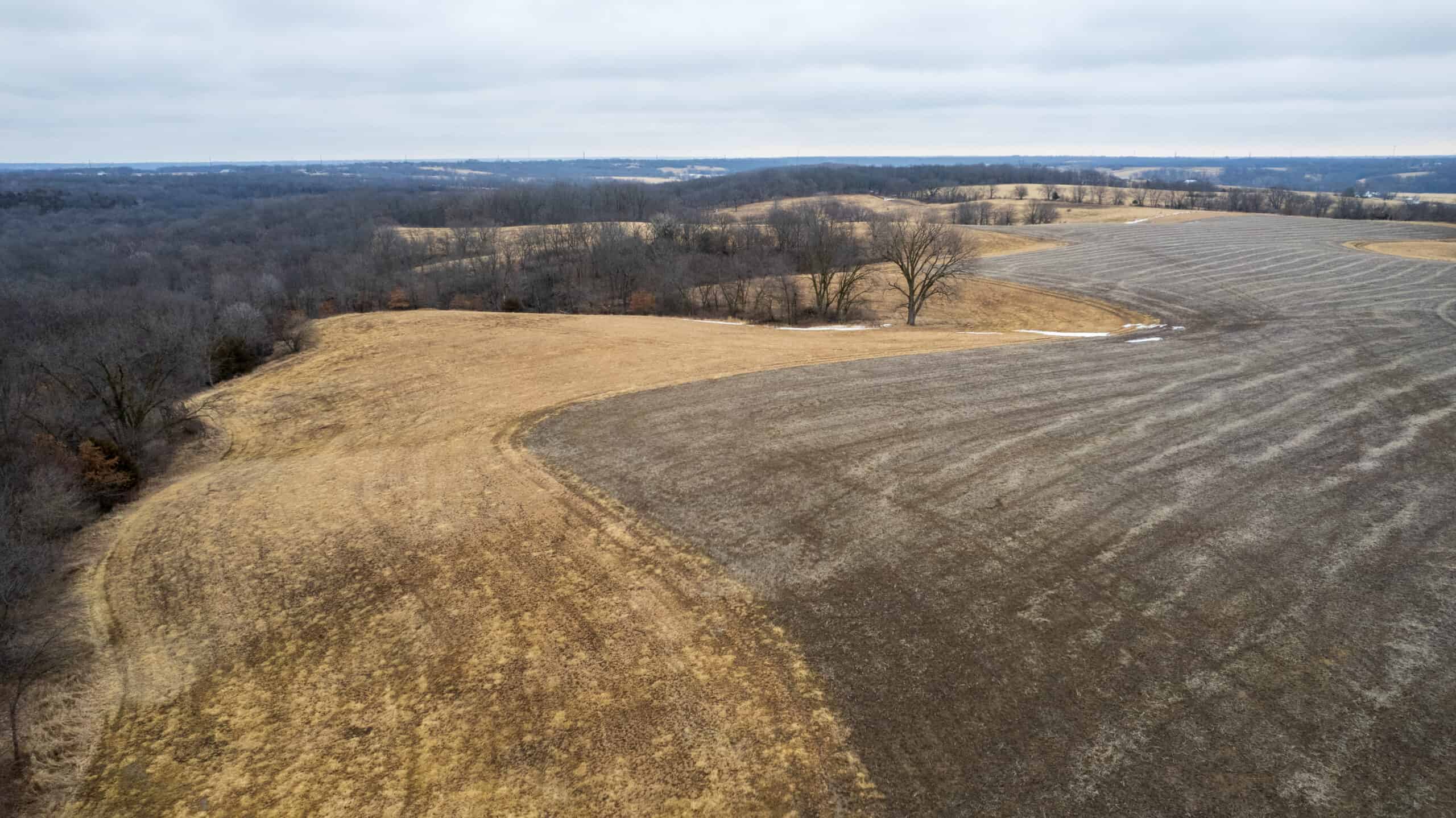 86 Acres | Hunting, Income Potential, Pond & Building Site | Wapello County, IA