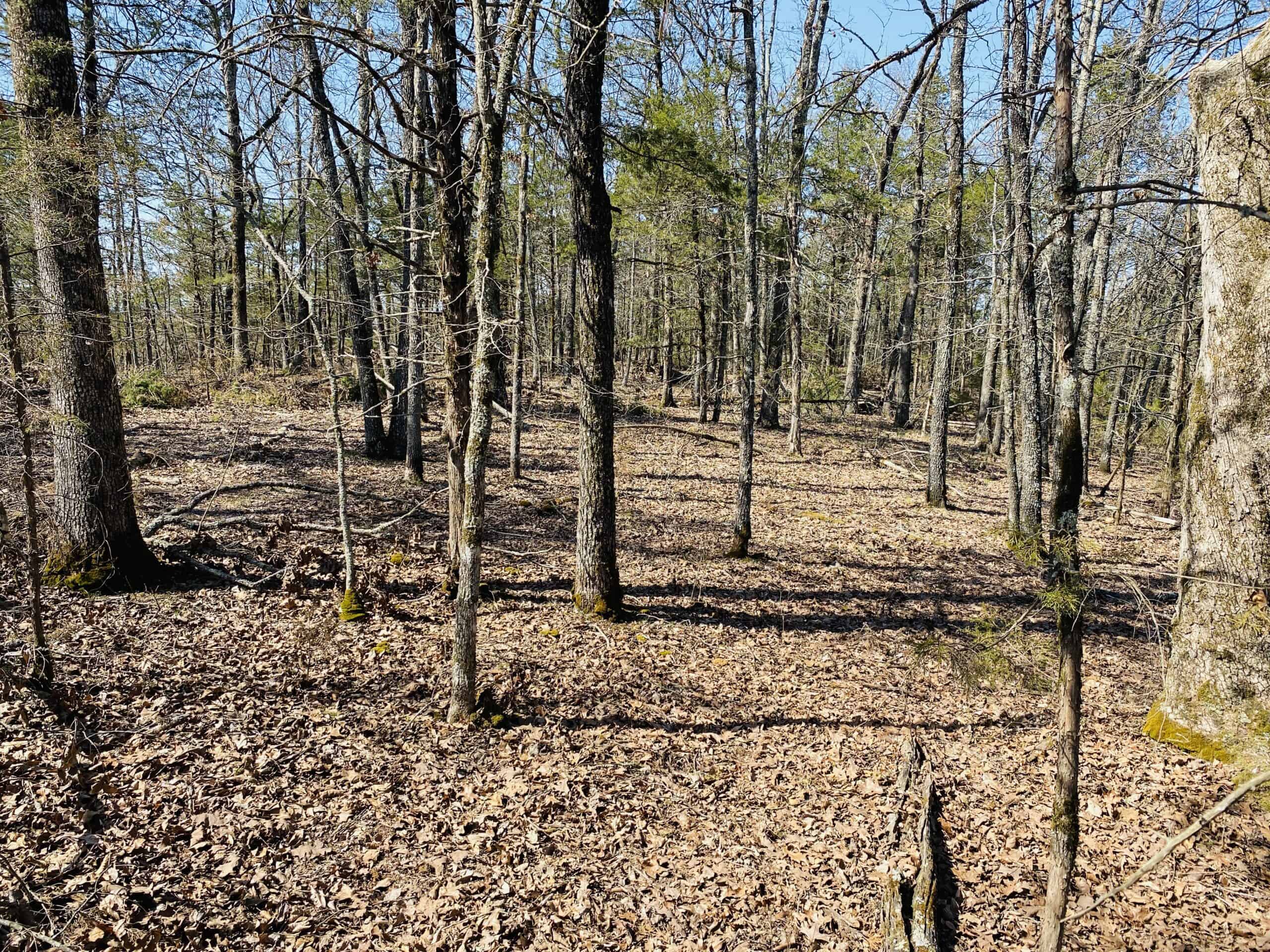 RURAL RIVERFRONT LAND WITH GREAT VIEWS FOR SALE IN ARKANSAS
