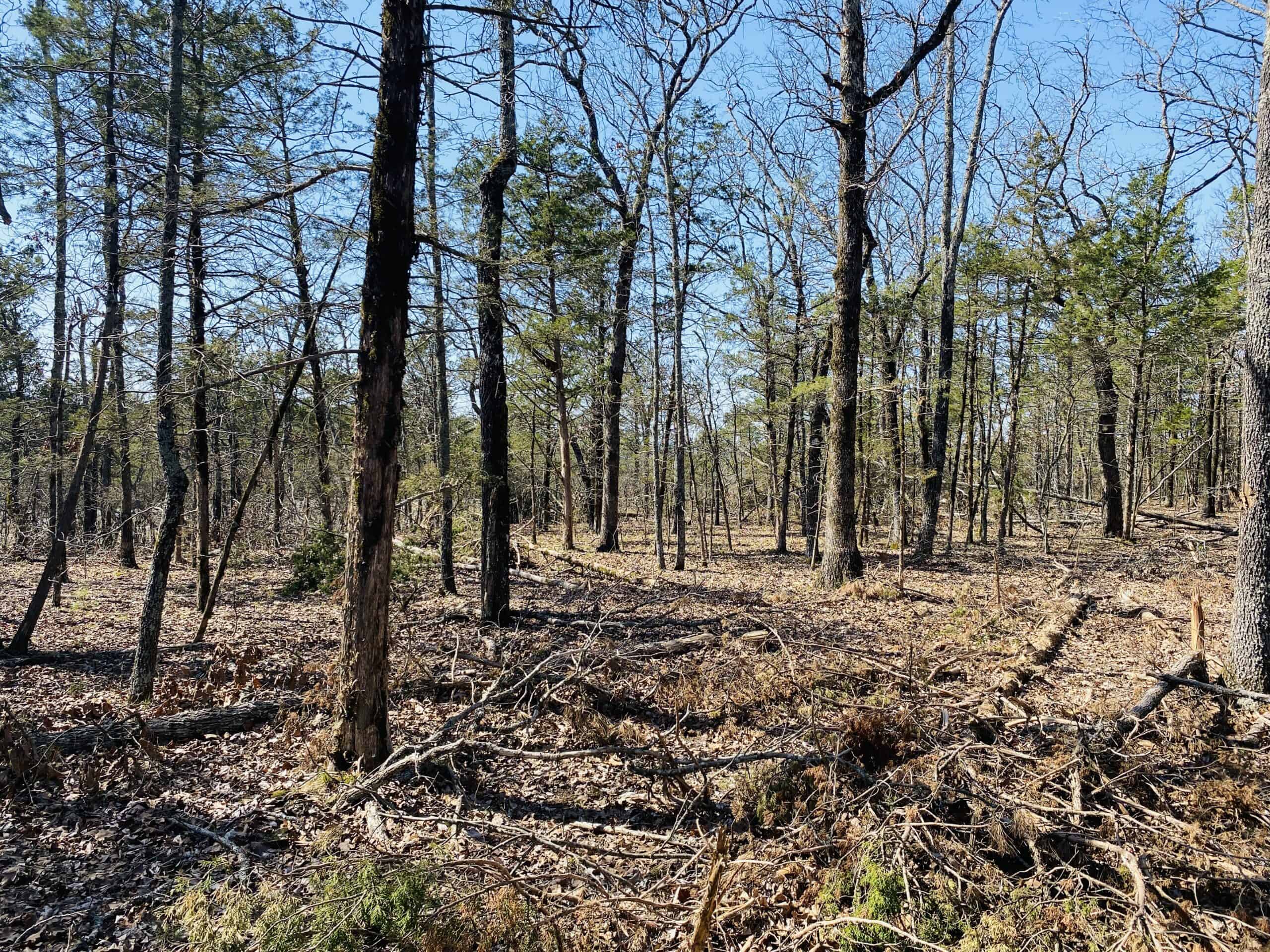 RURAL RIVERFRONT LAND WITH GREAT VIEWS FOR SALE IN ARKANSAS