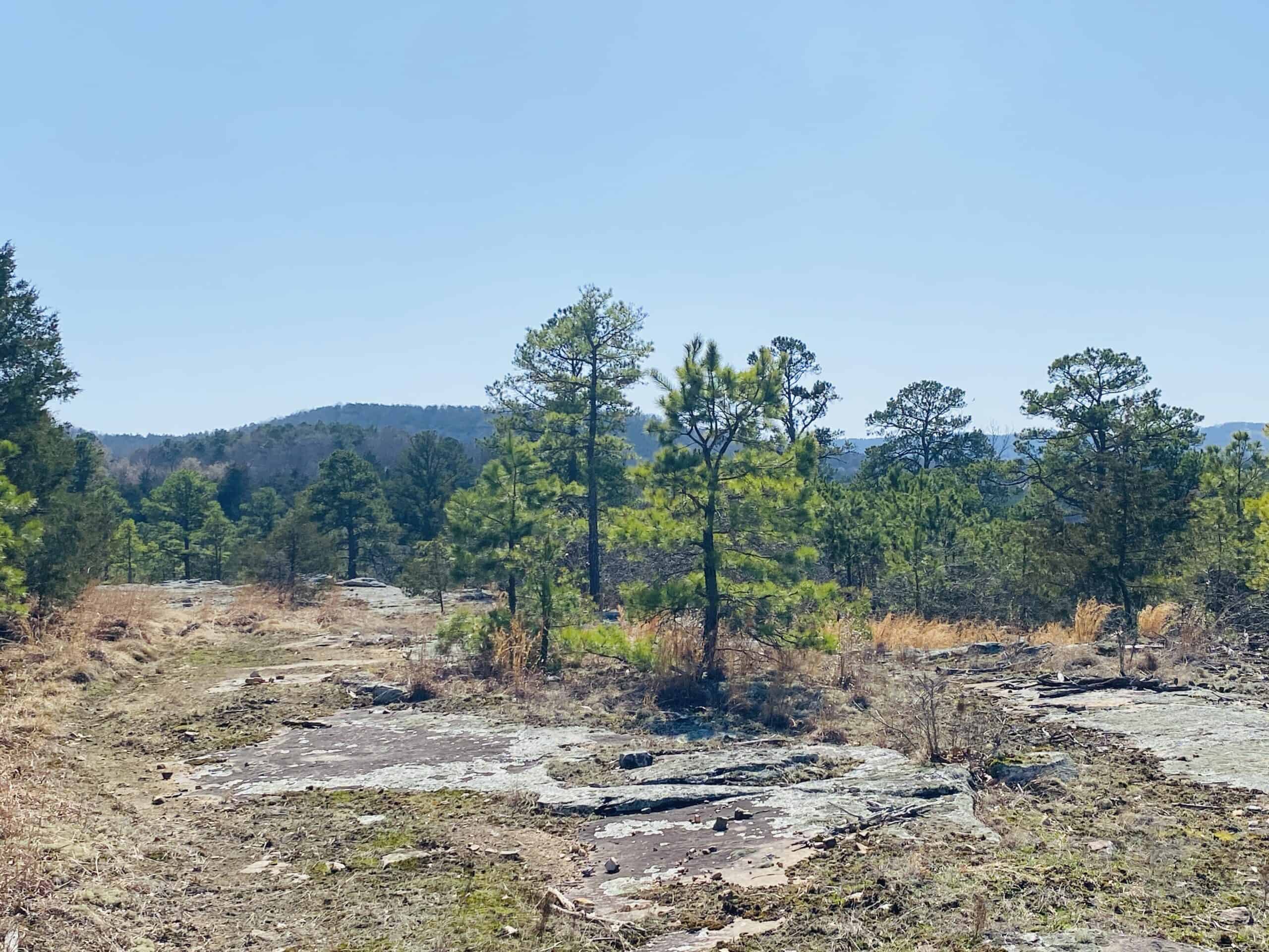 RURAL RIVERFRONT LAND WITH GREAT VIEWS FOR SALE IN ARKANSAS