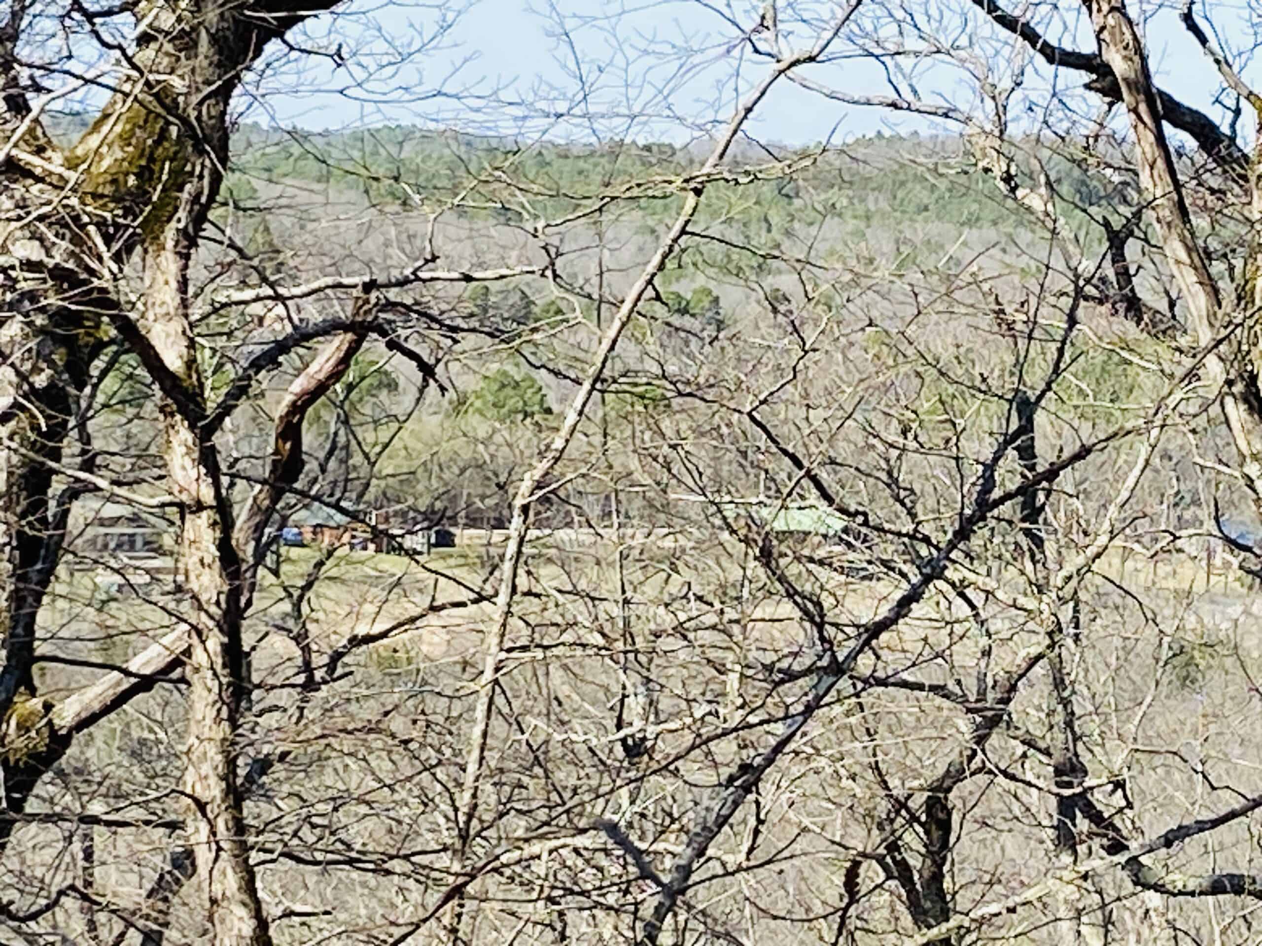RURAL RIVERFRONT LAND WITH GREAT VIEWS FOR SALE IN ARKANSAS