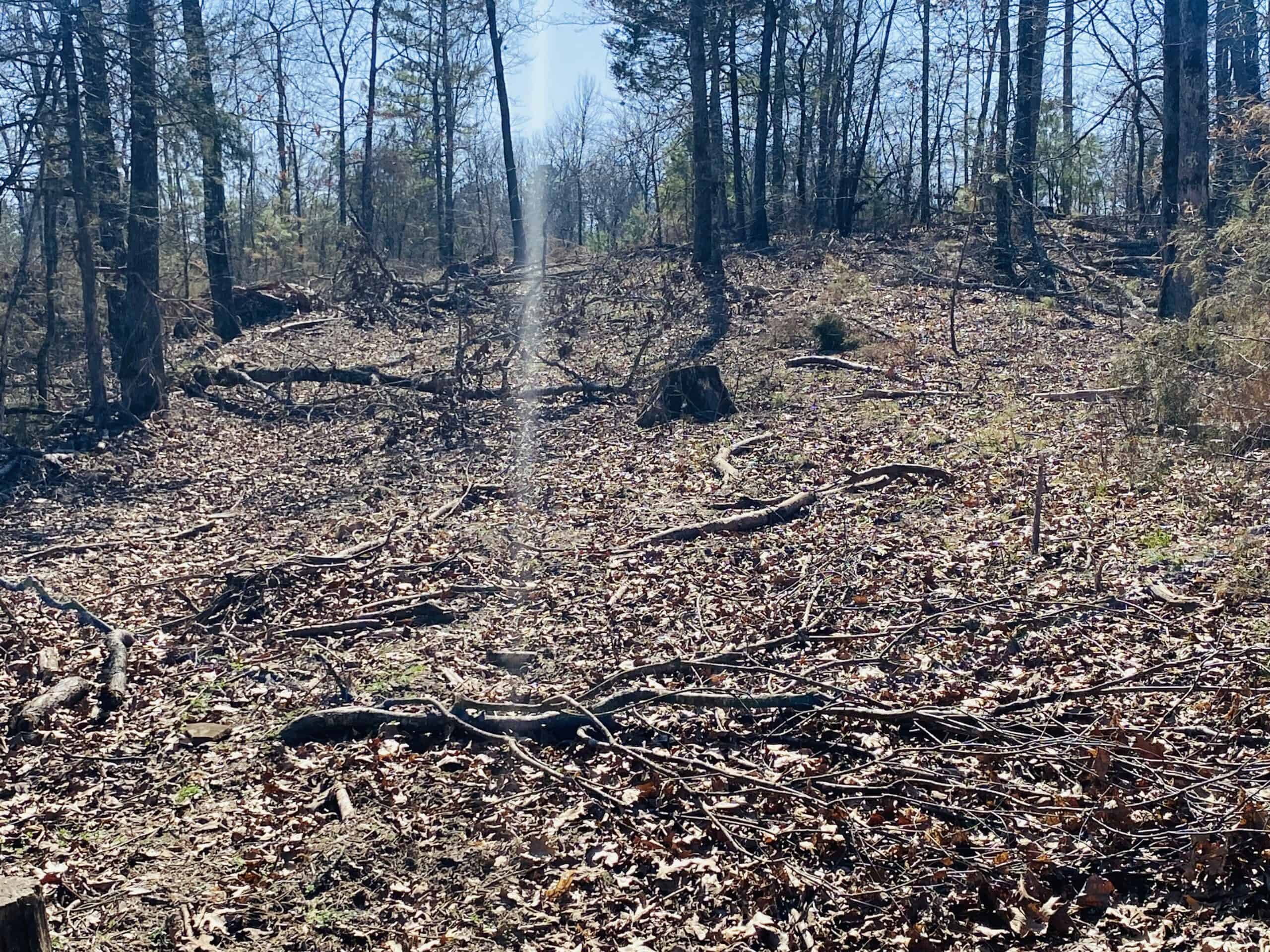 RURAL RIVERFRONT LAND WITH GREAT VIEWS FOR SALE IN ARKANSAS