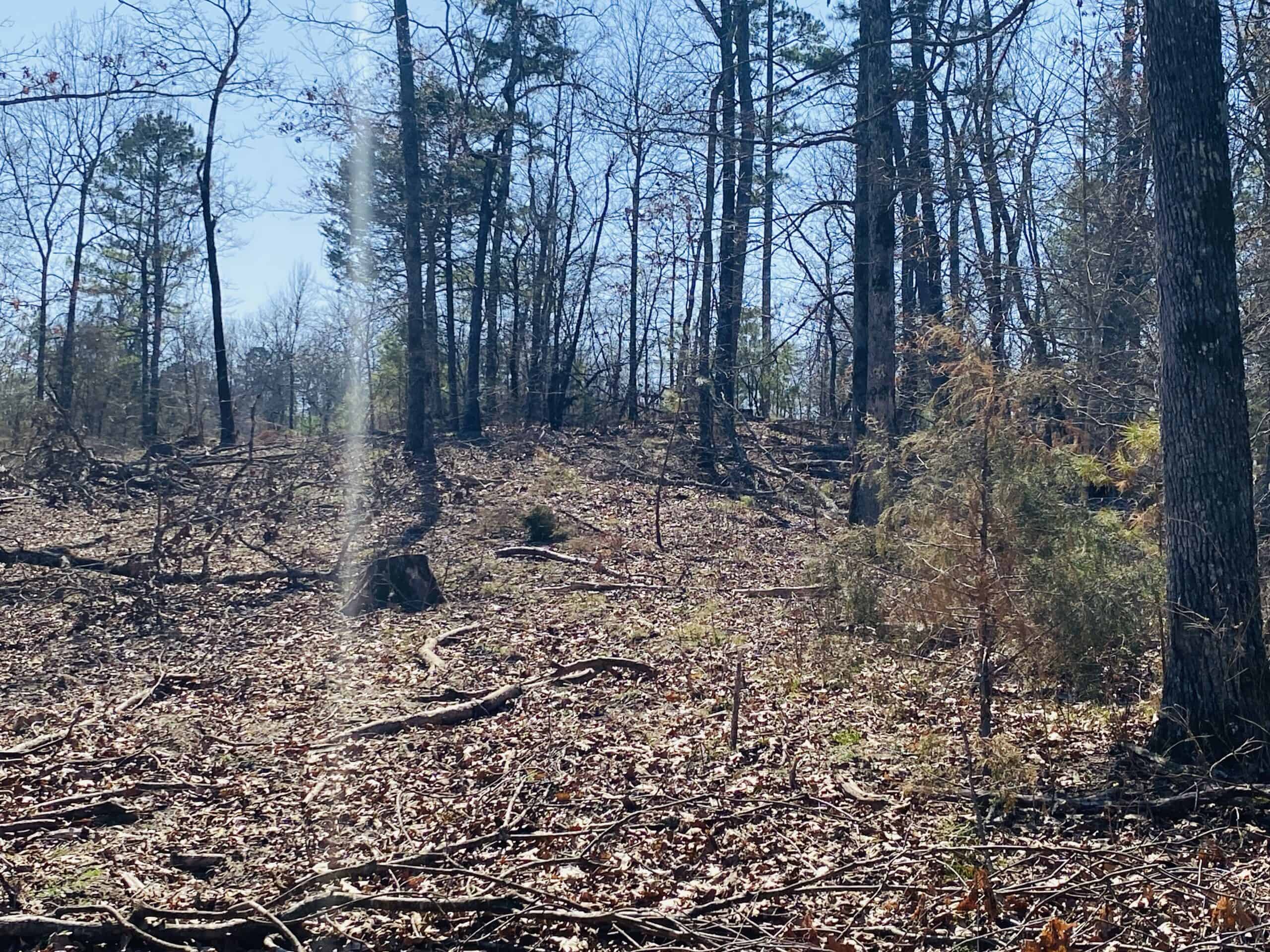 RURAL RIVERFRONT LAND WITH GREAT VIEWS FOR SALE IN ARKANSAS